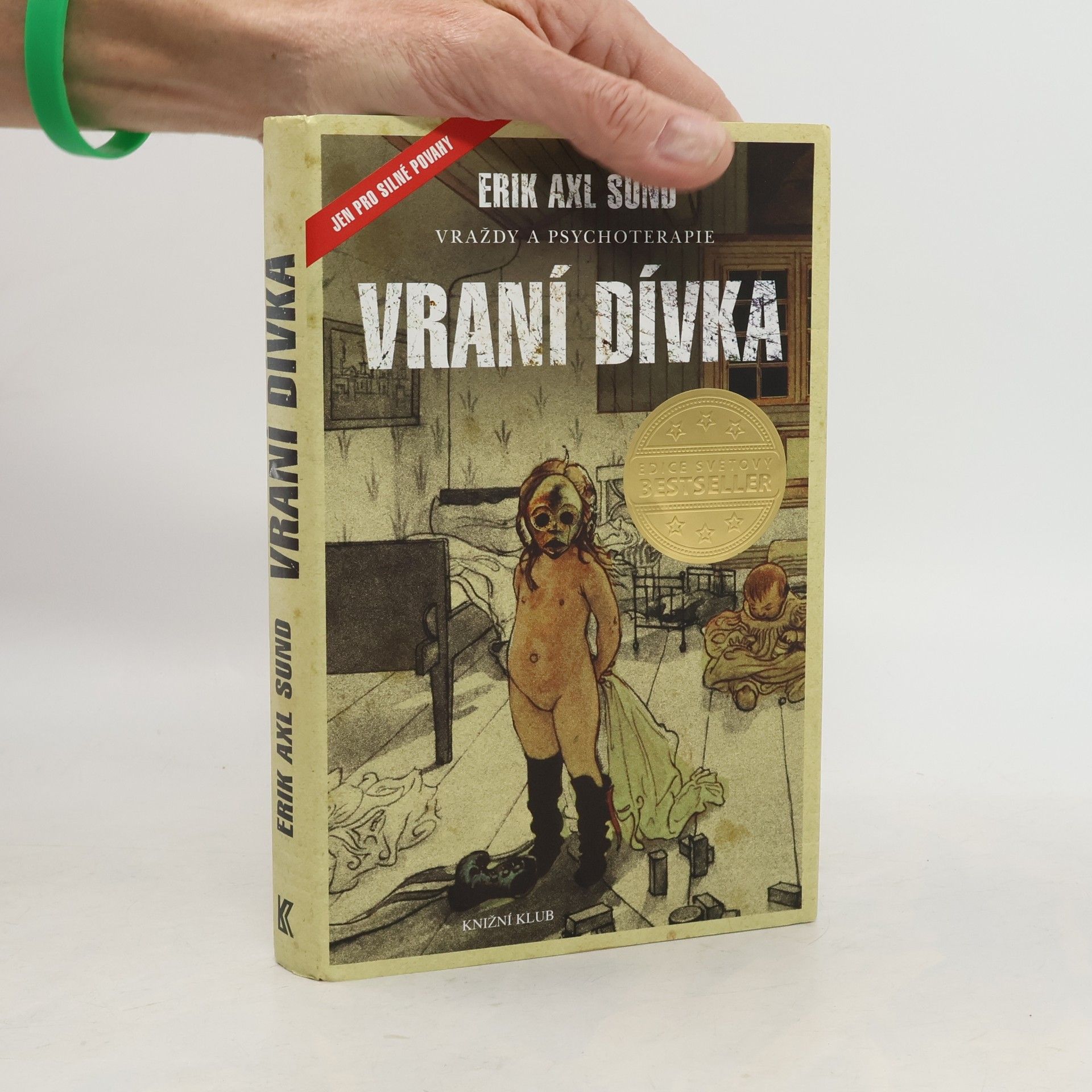 Erik Axl Sund Slabost Victorie Bergmanové. 1. díl. Vraní dívka