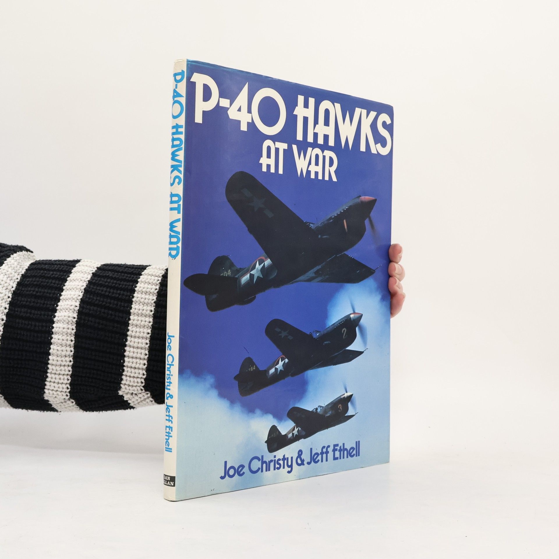 Joe Christy P-40 Hawks at War