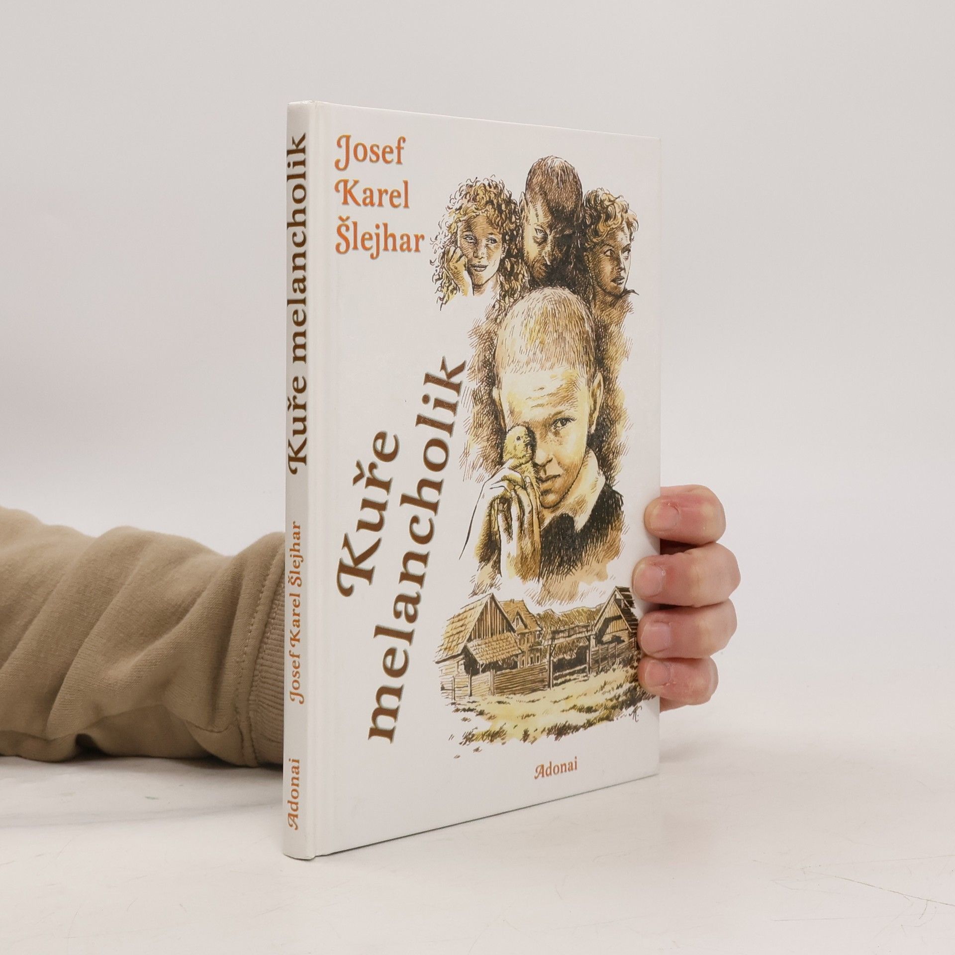 Josef Karel Šlejhar Kuře melancholik