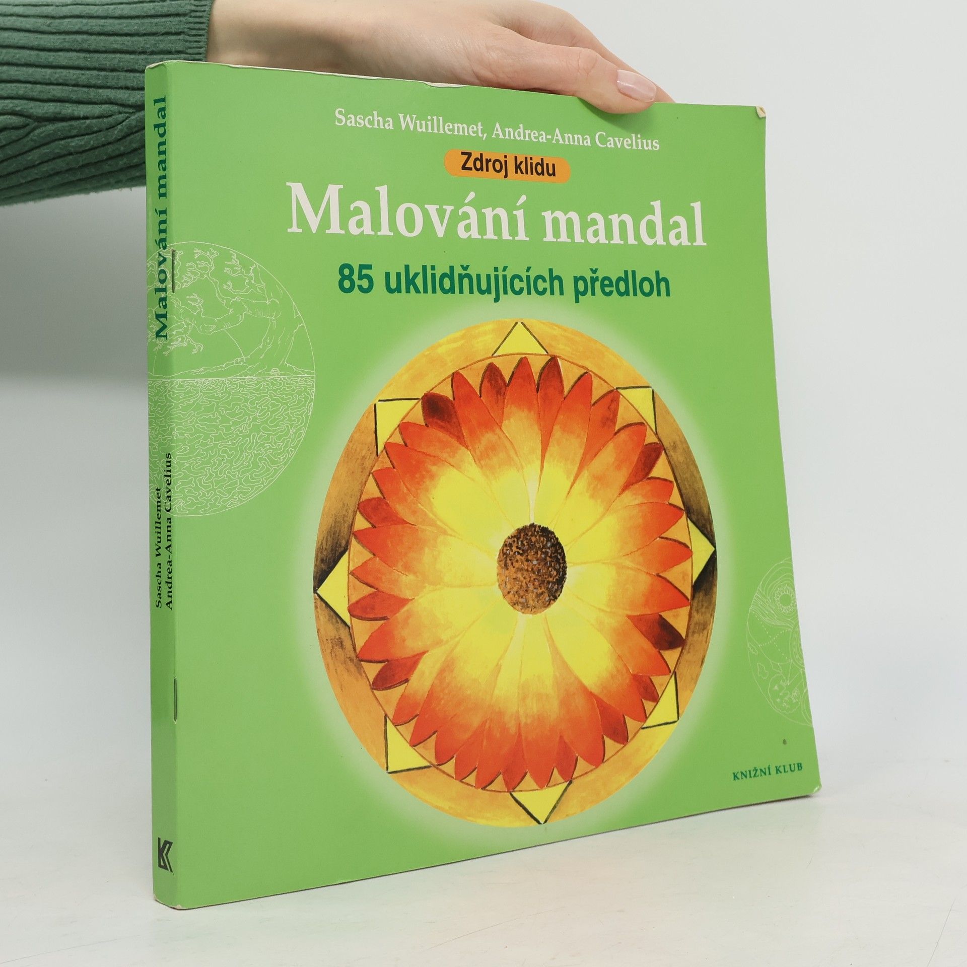 Sascha Wuillemet Malování mandal: Zdroj klidu : 85 uklidňujících předloh