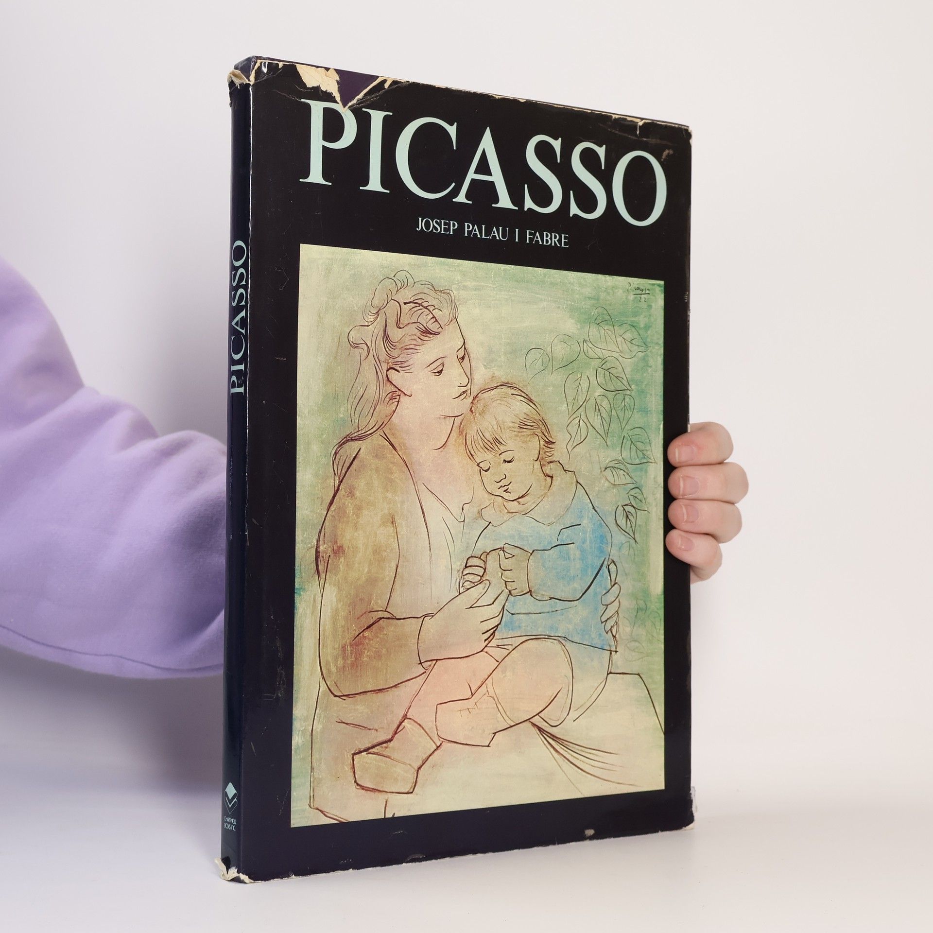 Josep Palau i. Fabre Picasso