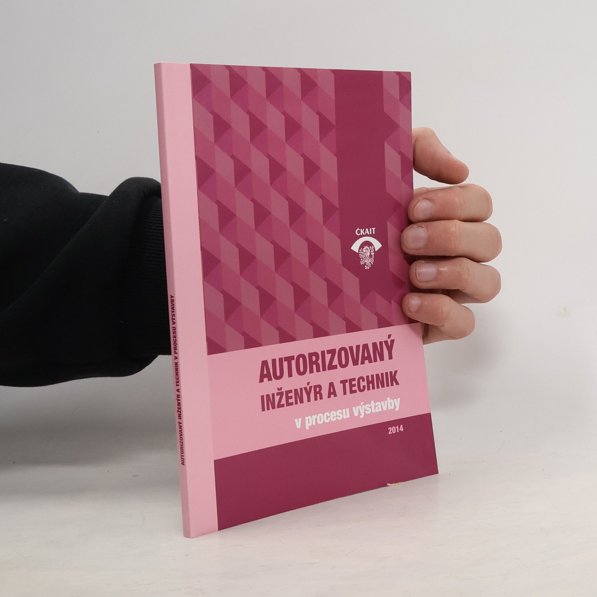 AA.VV. Autorizovaný inženýr a technik v procesu výstavby