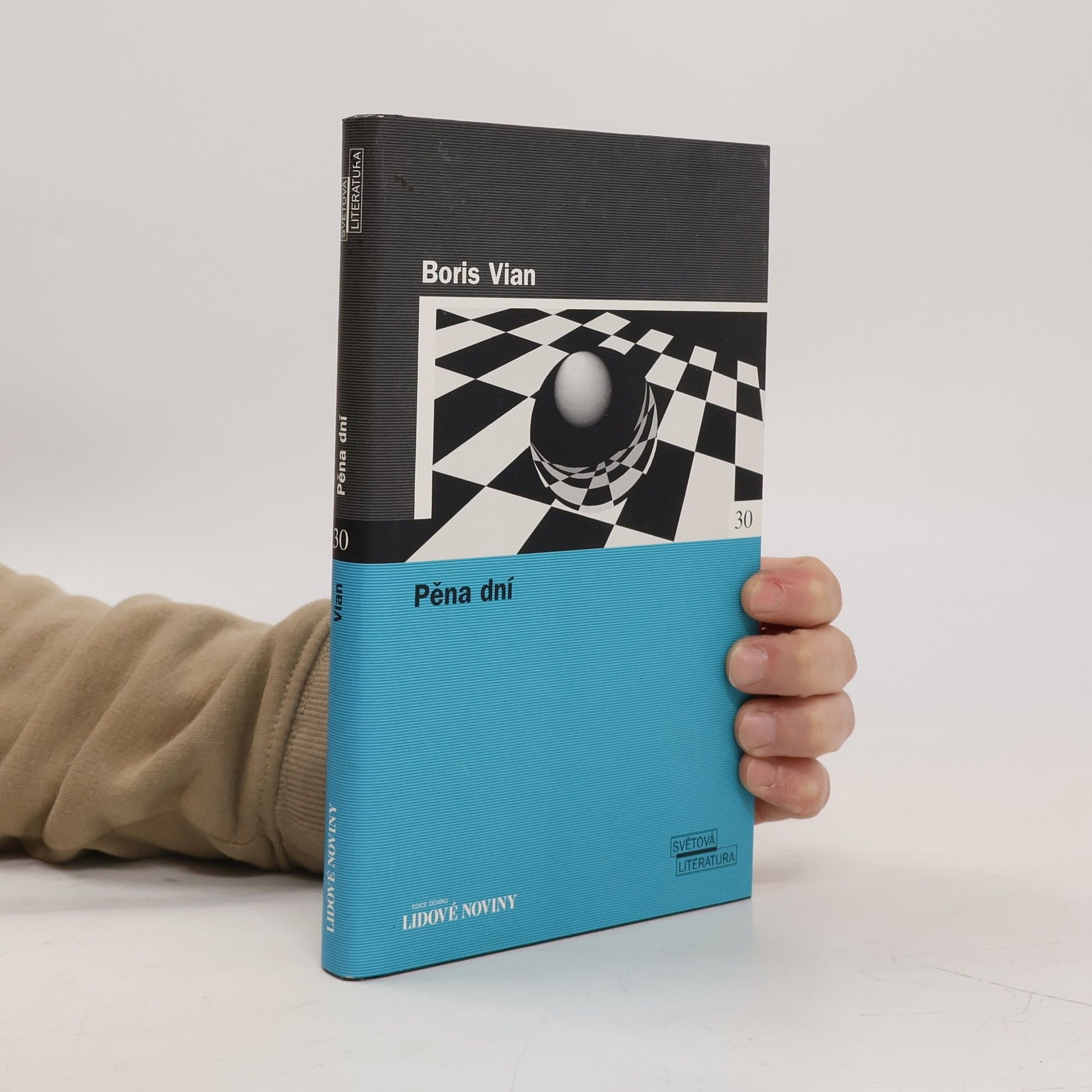 Boris Vian Pěna dní