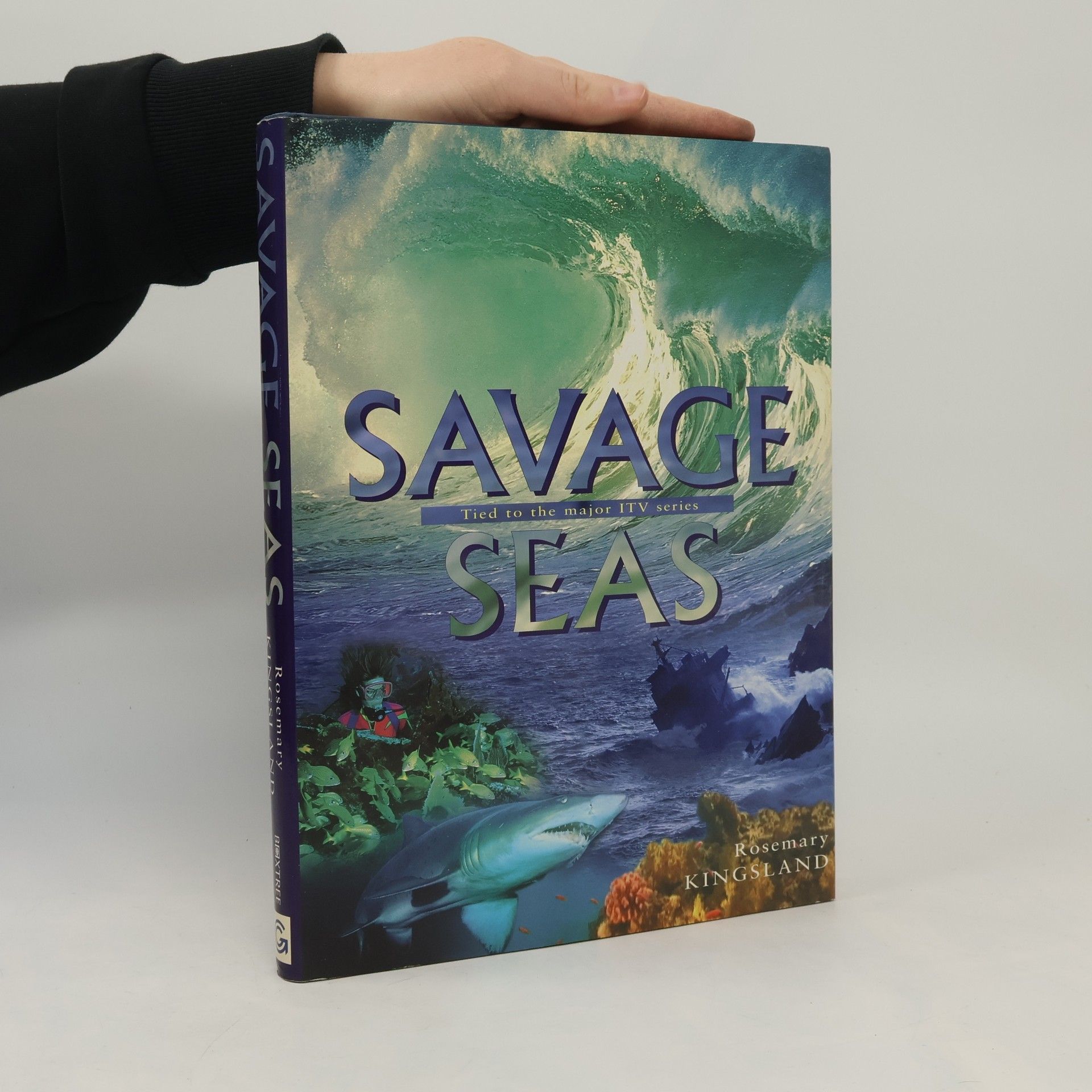 Rosemary Kingsland Savage Seas