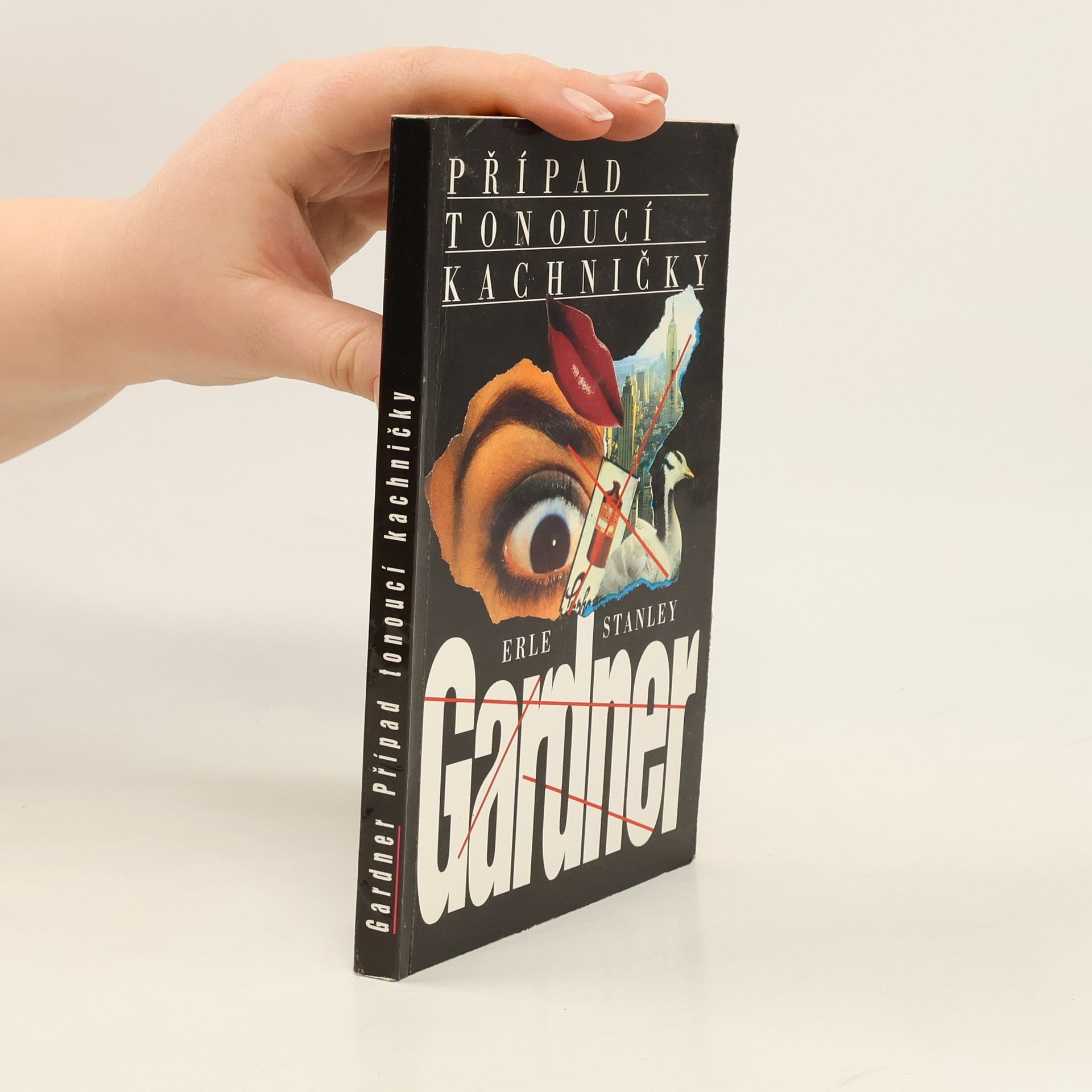 Gerik Císař Případ tonoucí kachničky