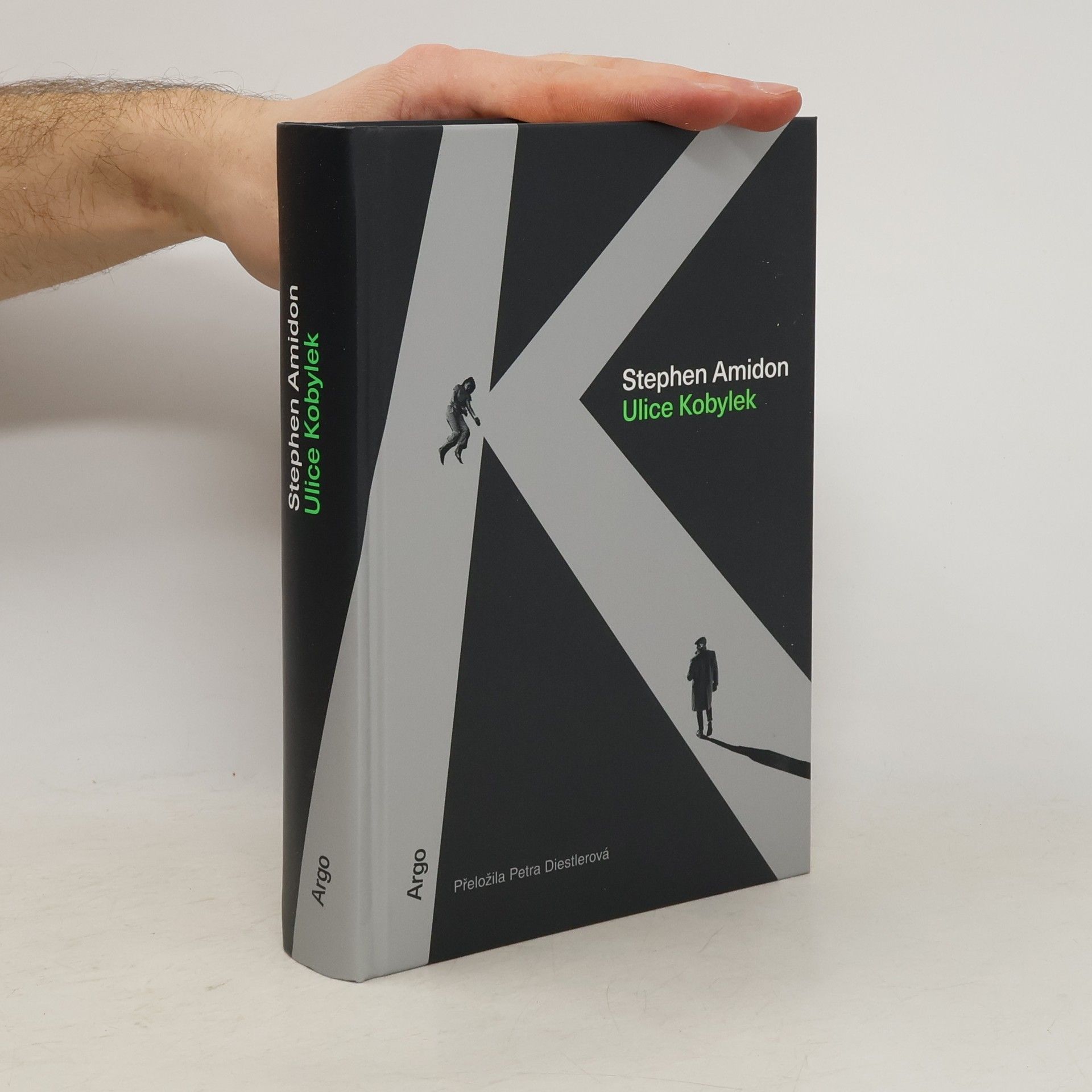 Stephen Amidon Ulice Kobylek