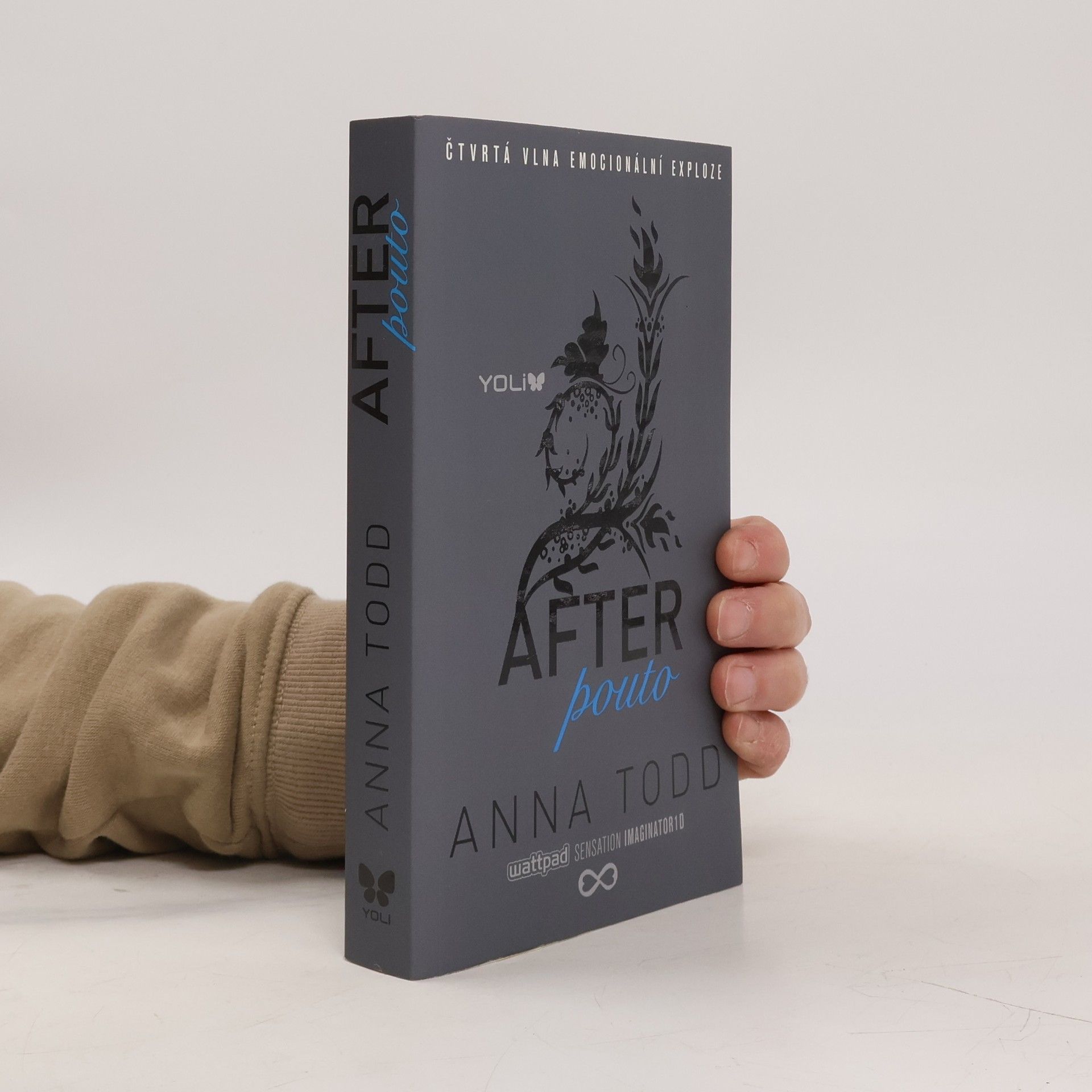 Anna Todd After. Pouto