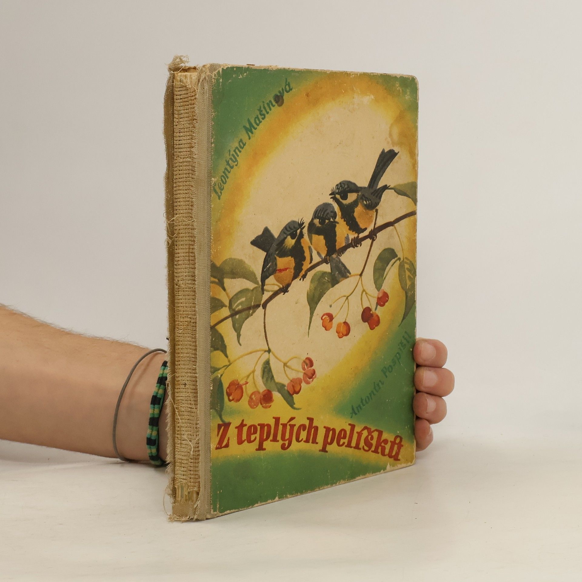 Z teplých pelíšků