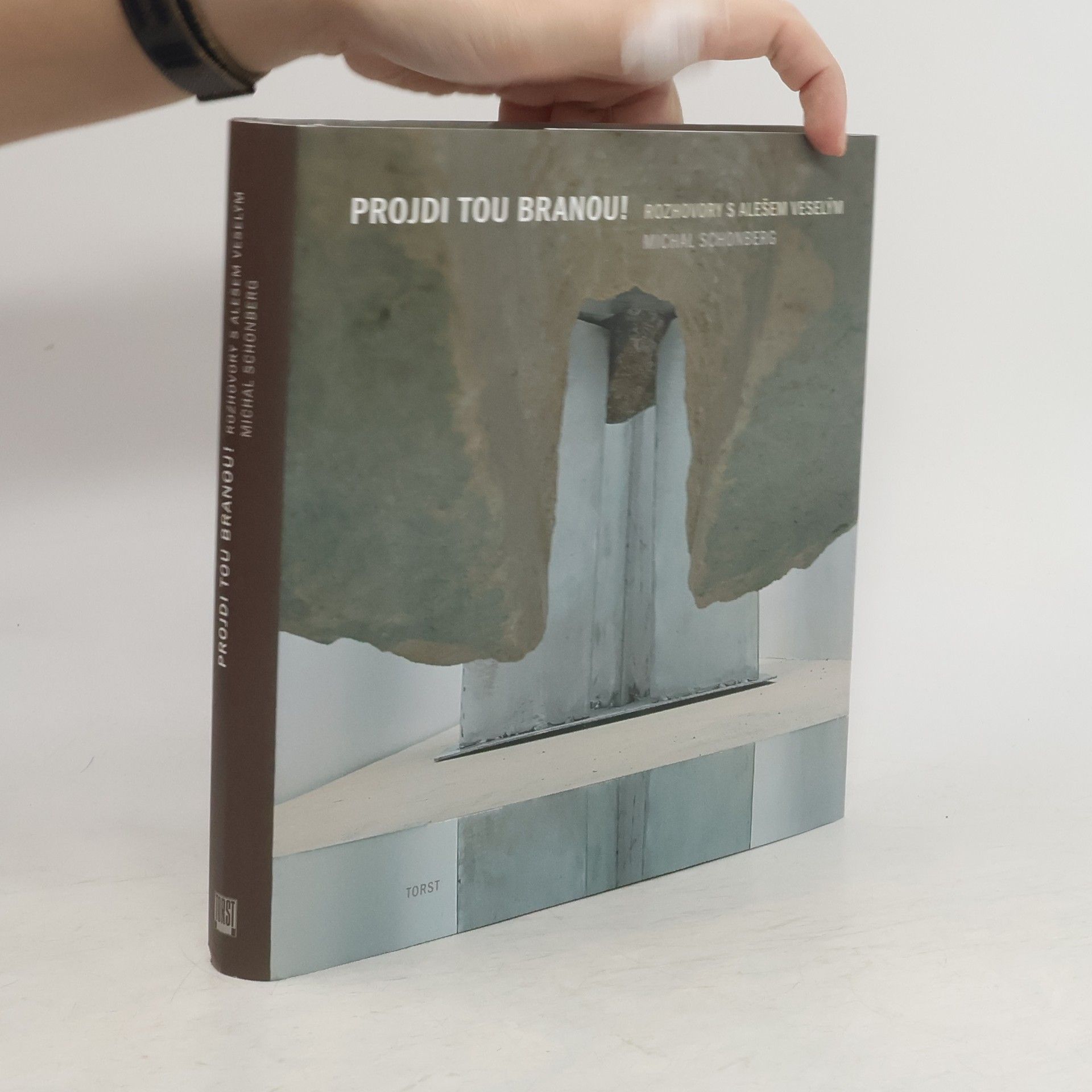 Aleš Veselý Projdi tou branou! Rozhovory s Alešem Veselým