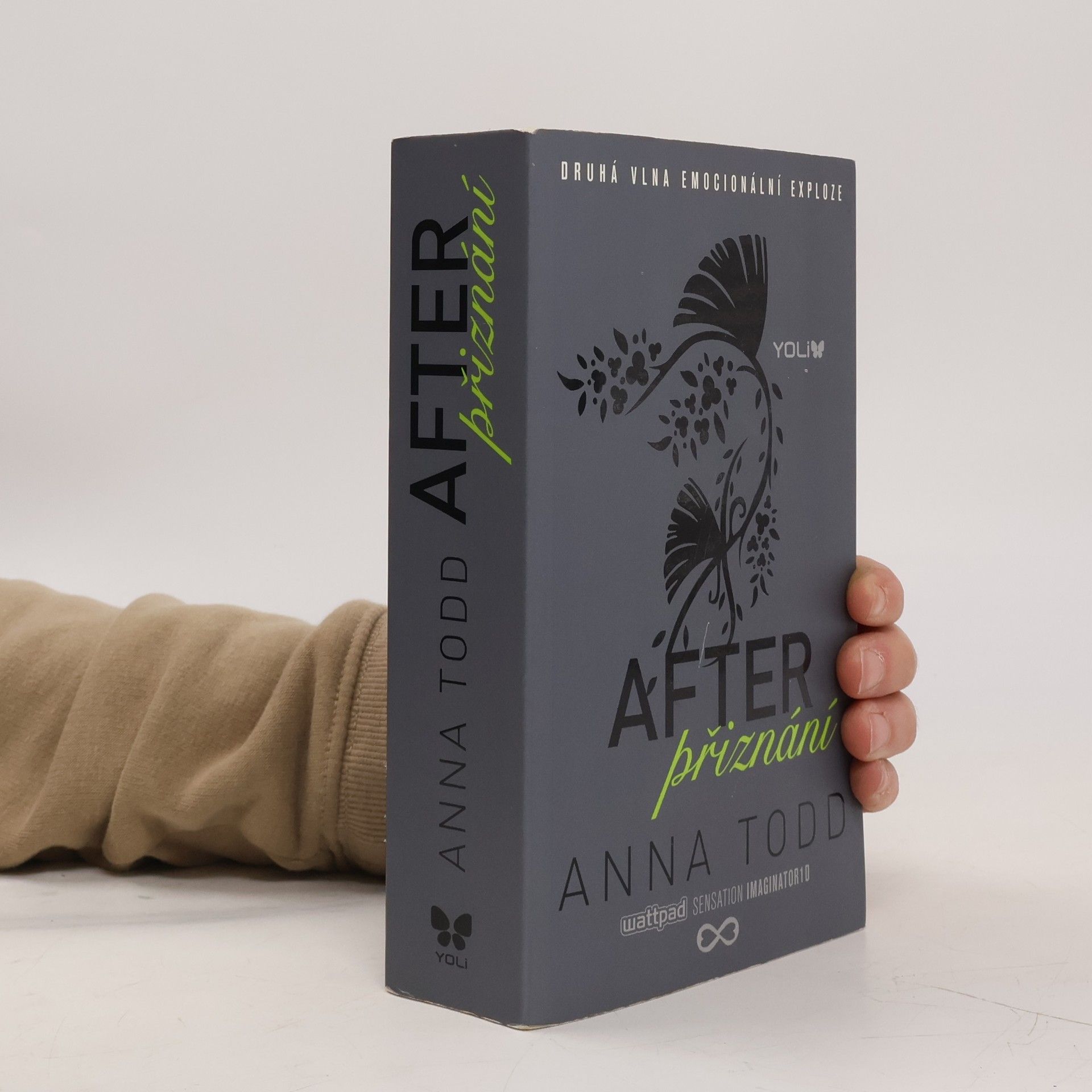 Anna Todd After. Přiznání