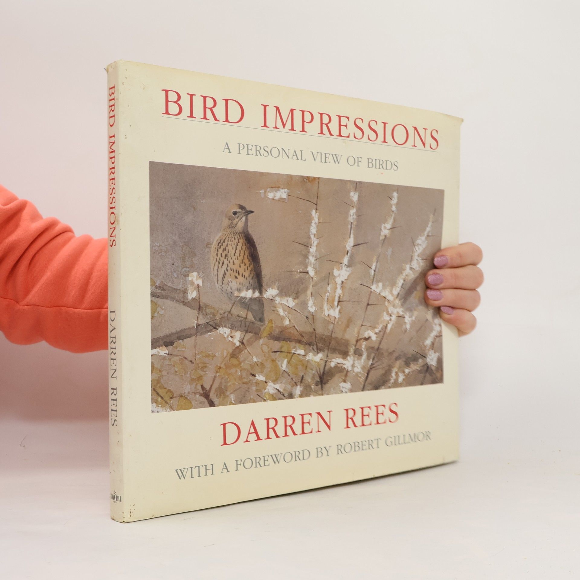 Darren Rees Bird Impressions