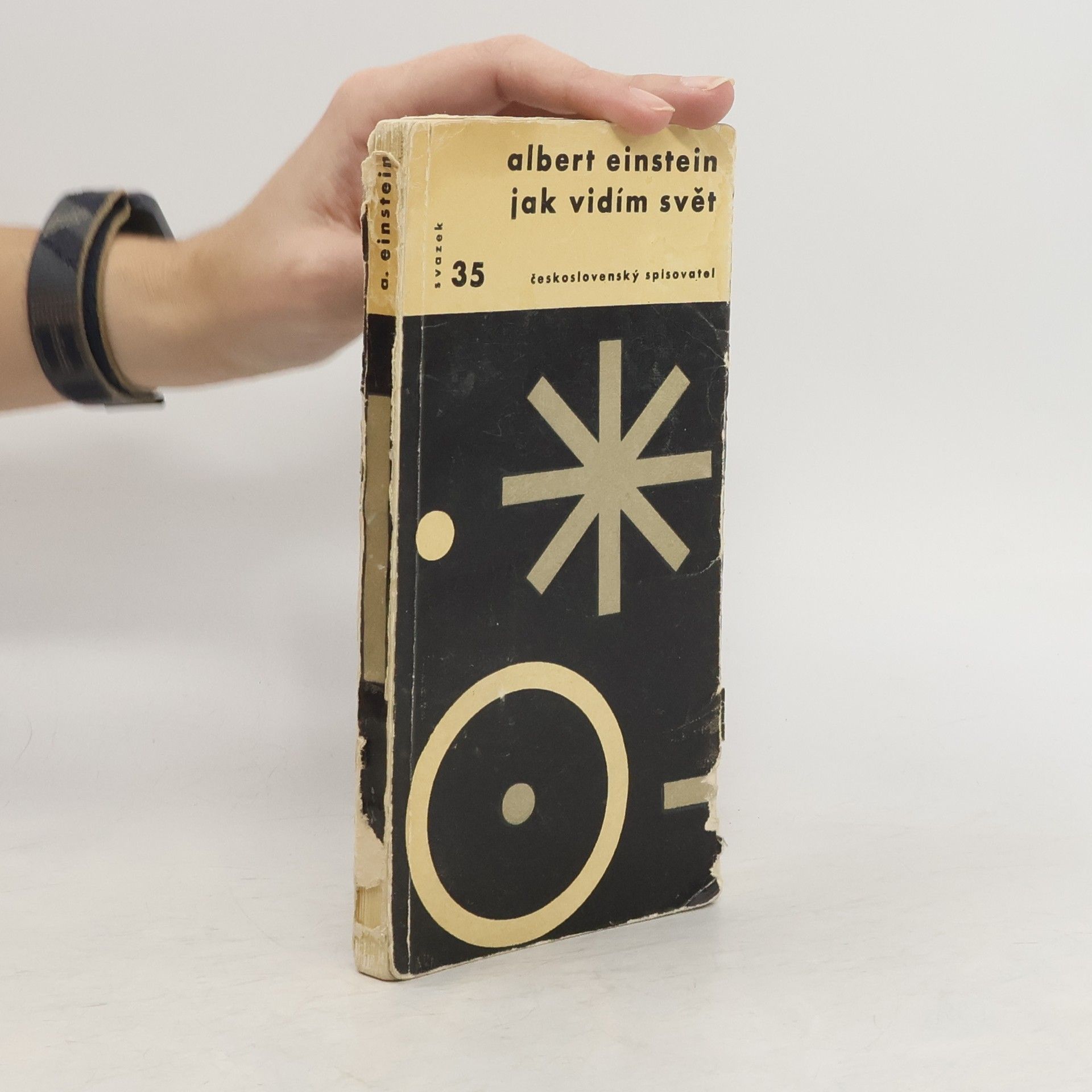 Albert Einstein Jak vidím svět