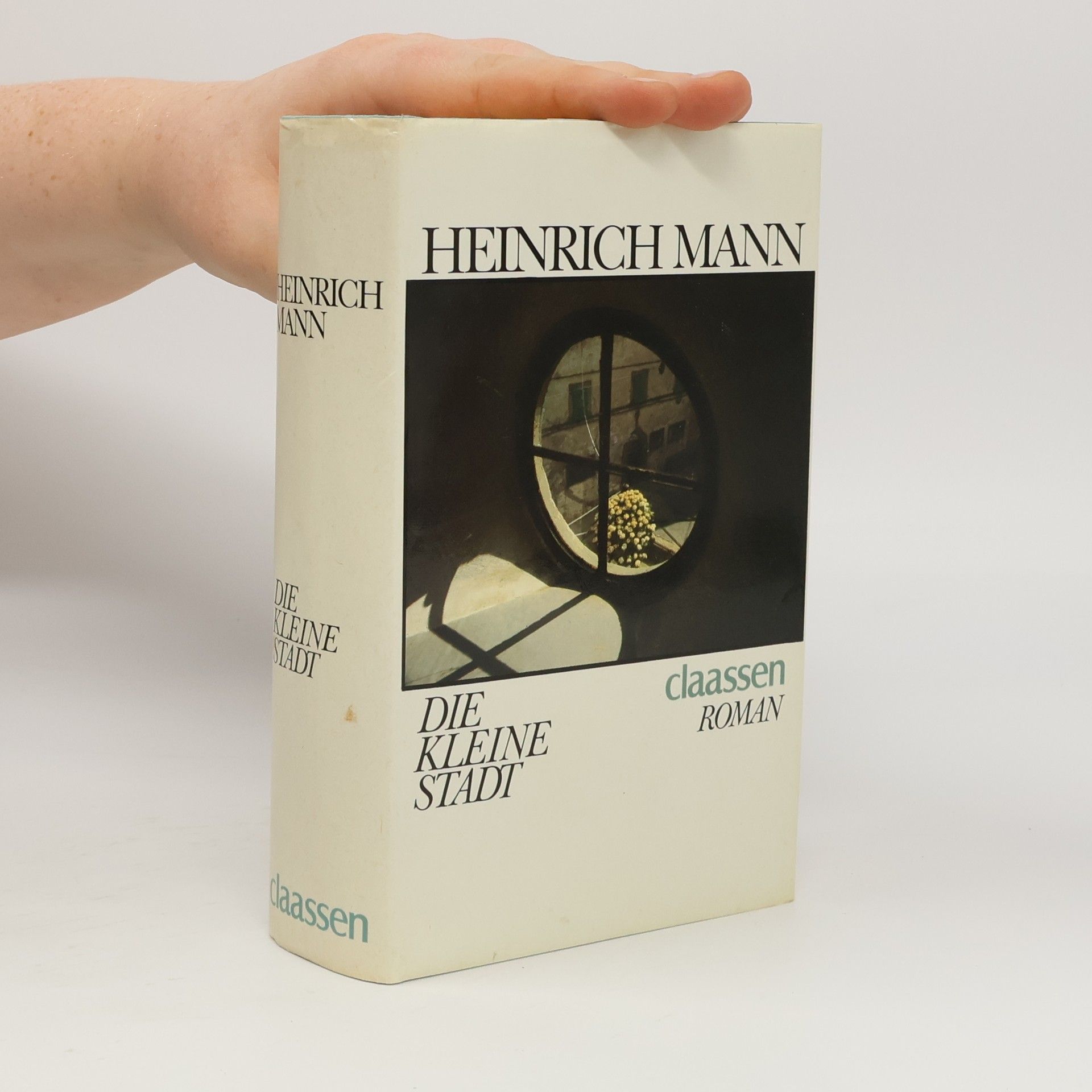 Heinrich Mann Die kleine Stadt