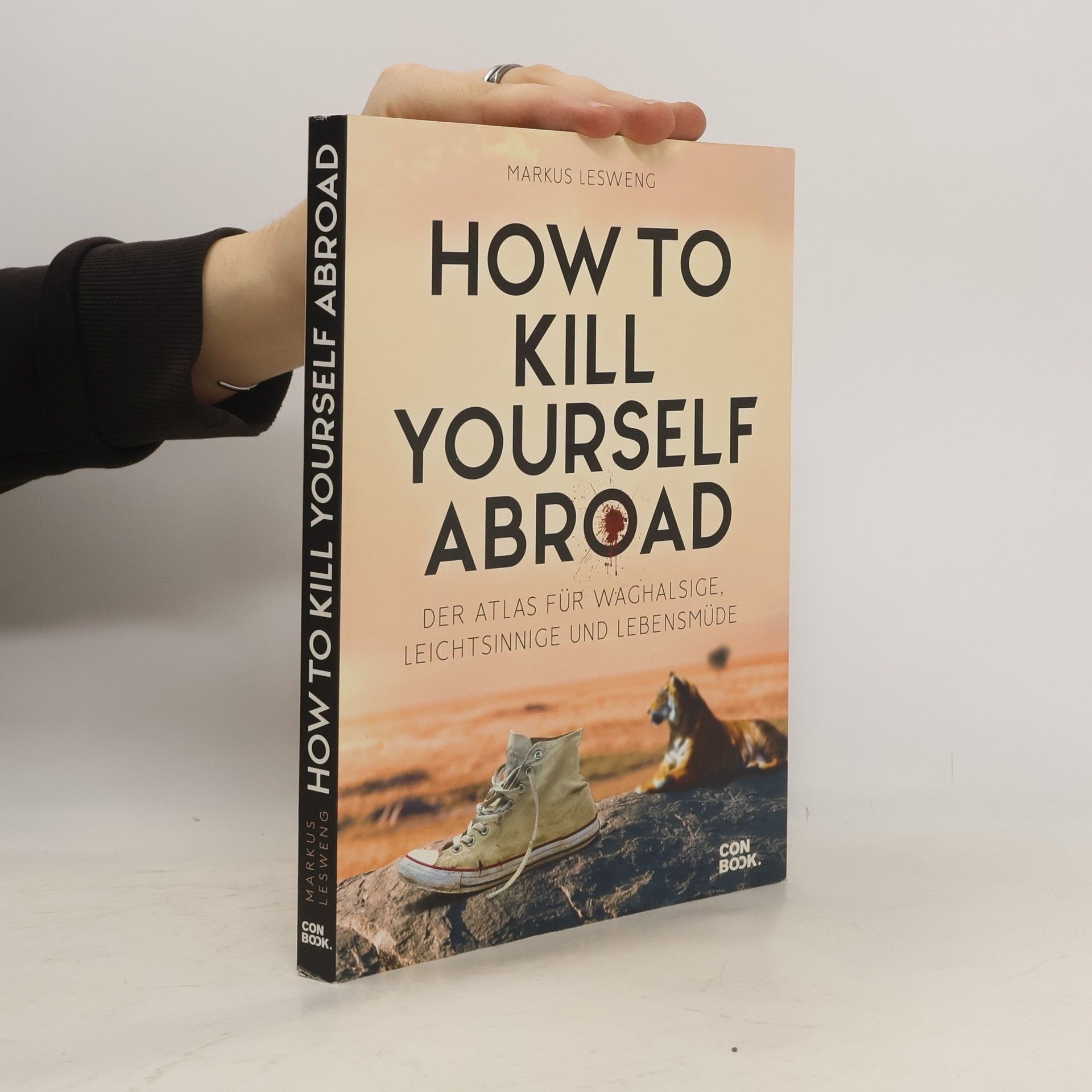 Markus Lesweng How to kill yourself abroad