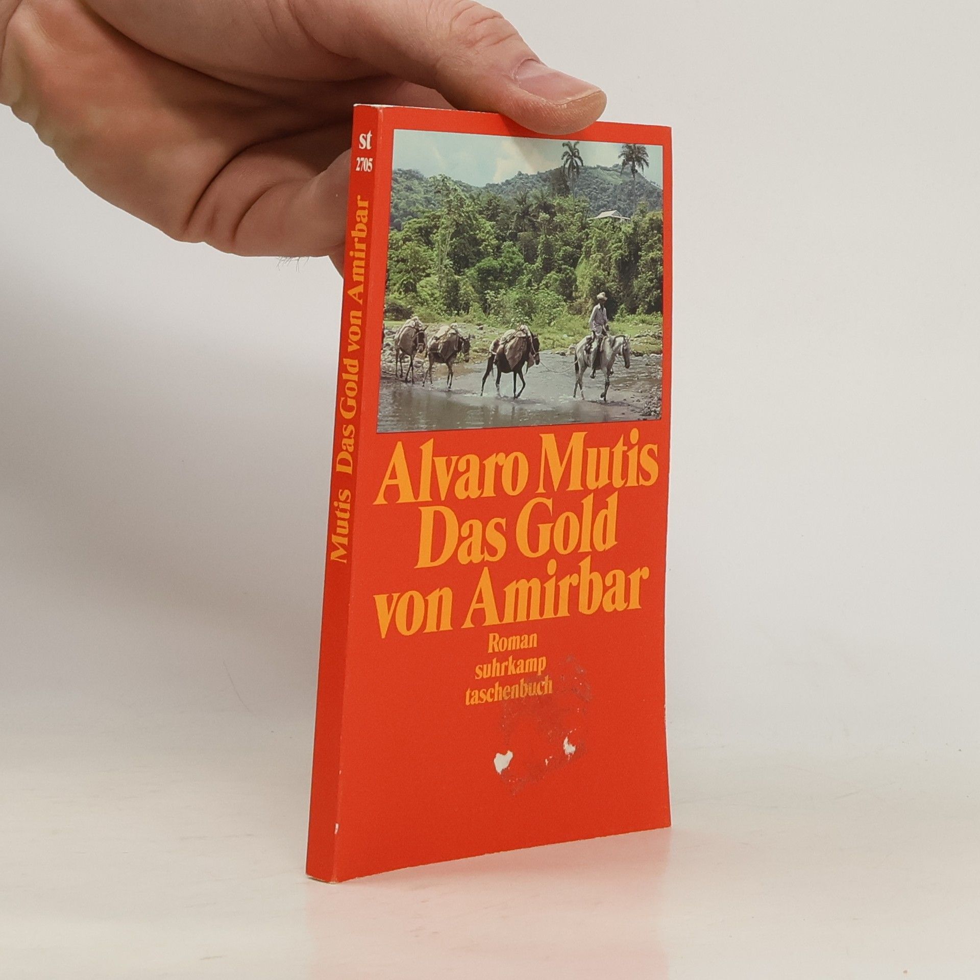Álvaro Mutis Das Gold von Amirbar