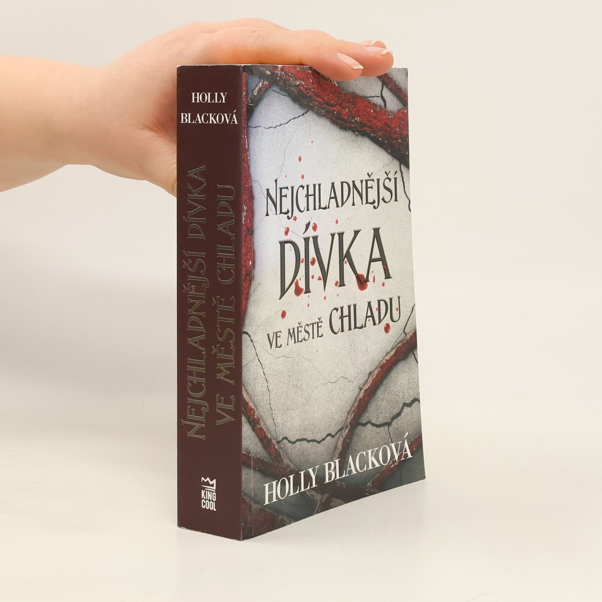Holly Black Nejchladnější dívka ve městě chladu