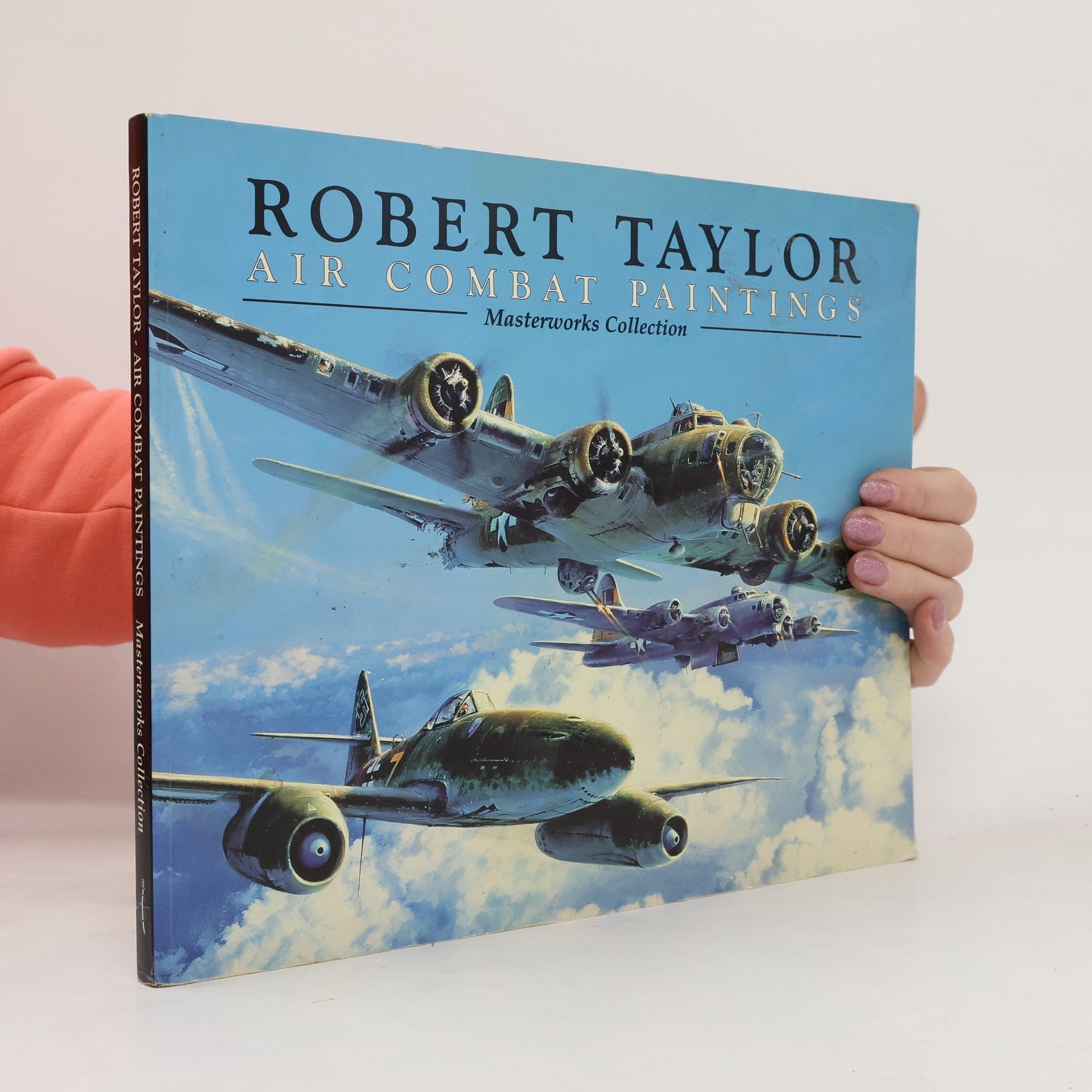 Robert Taylor Air Combat Paintings