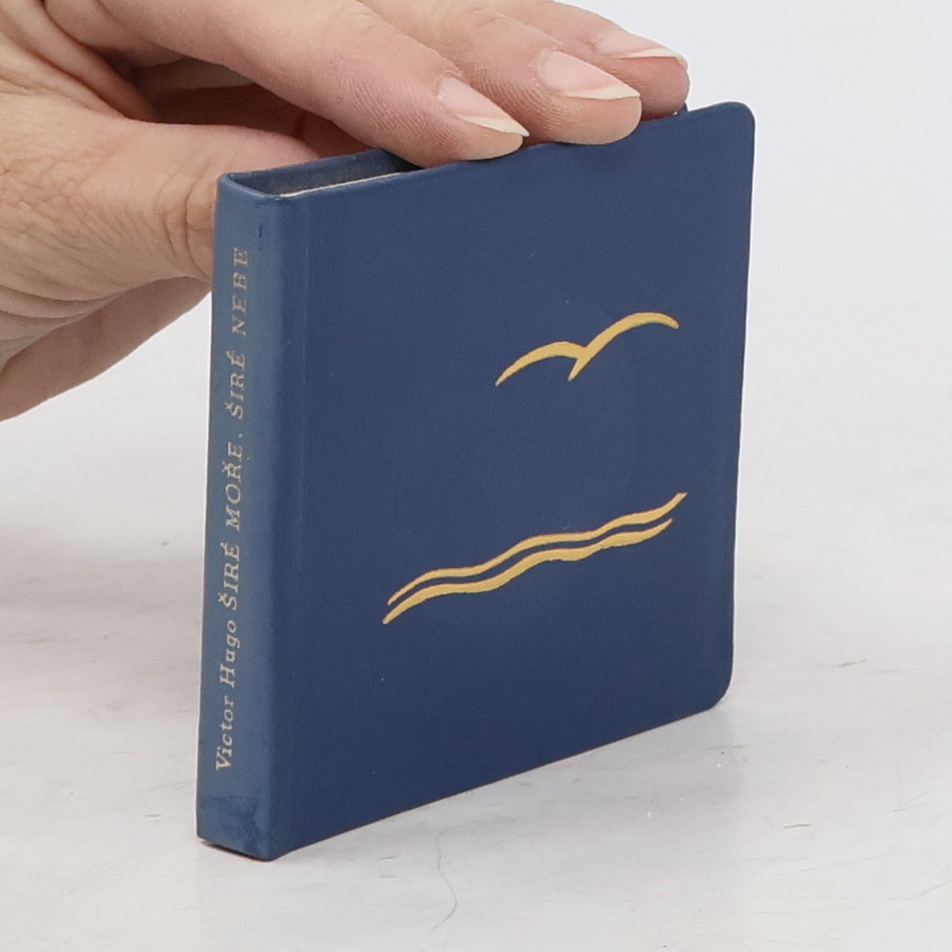 Victor Hugo Širé moře, širé nebe