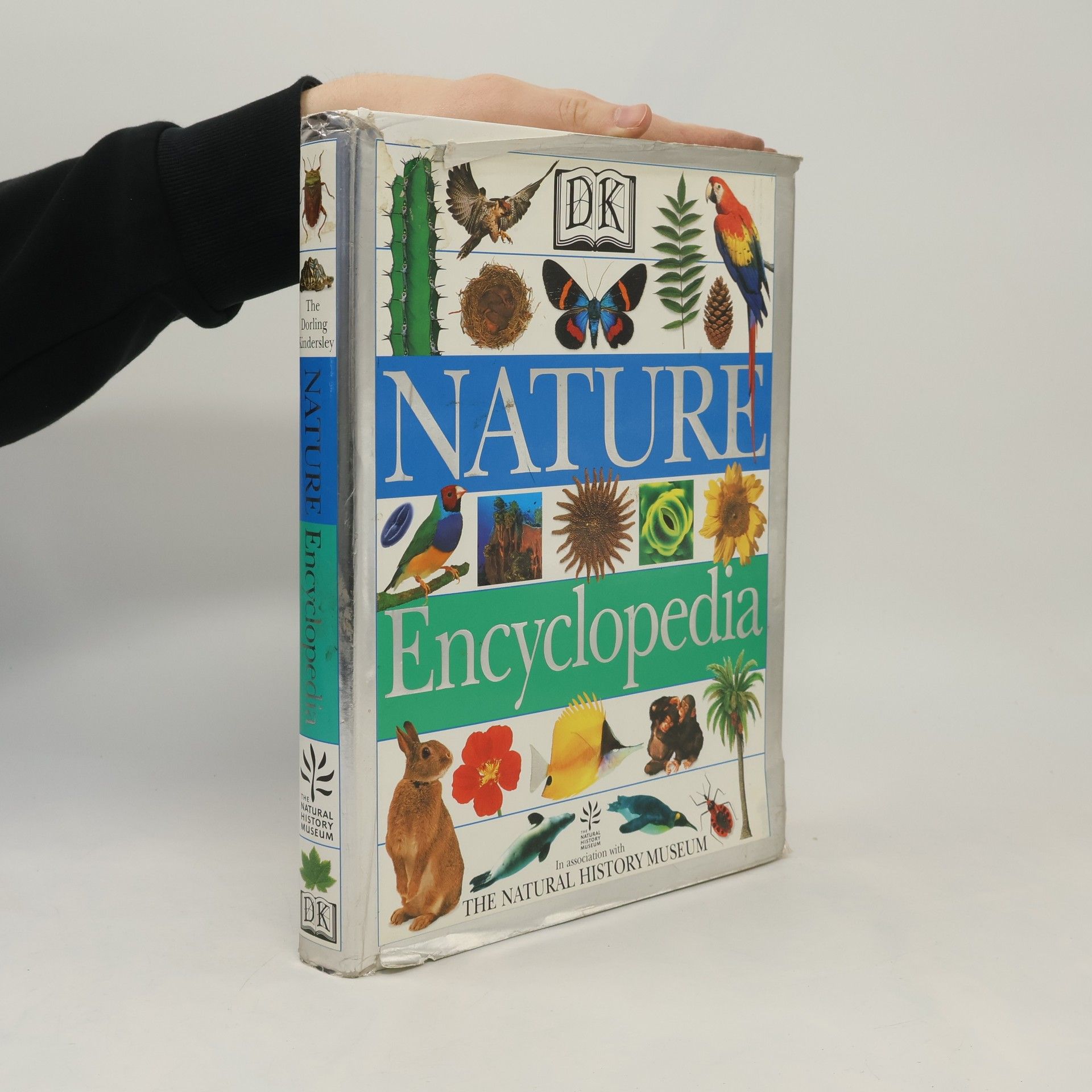 D.K. Publishing Nature Encyclopedia