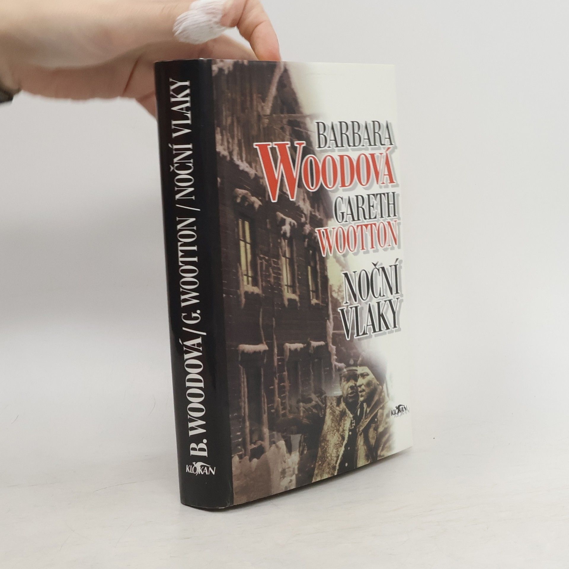 Barbara Wood Noční vlaky