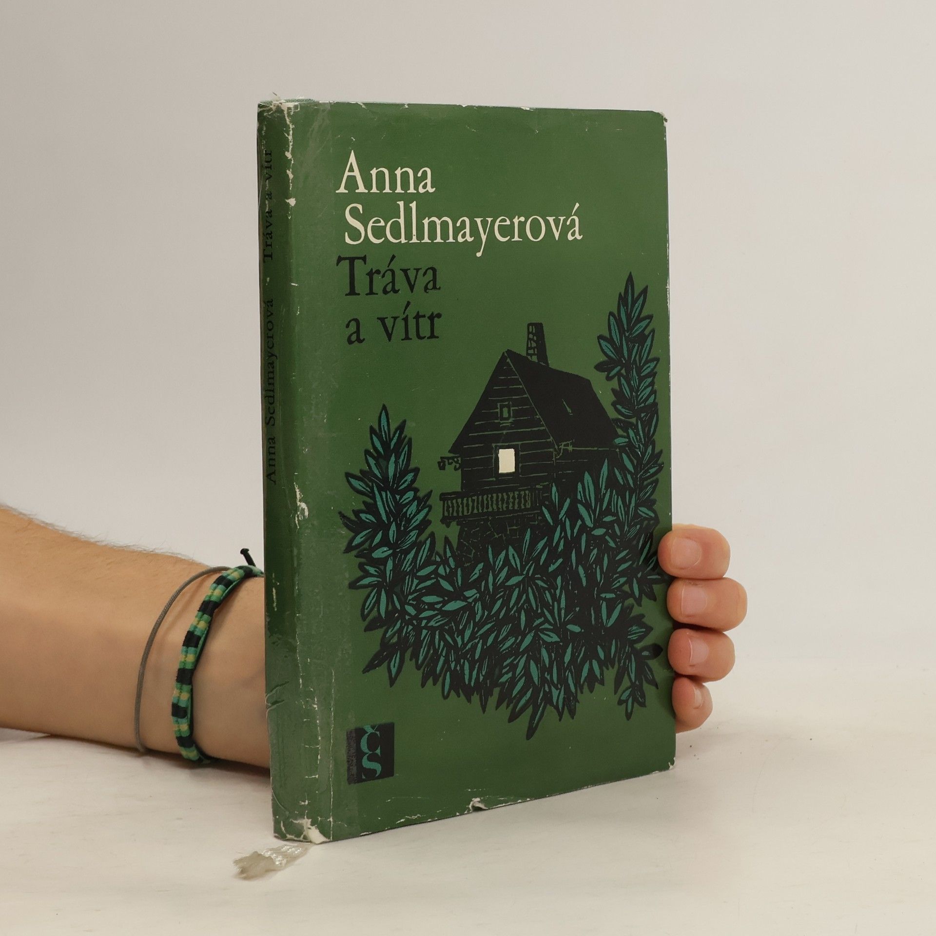 Anna Sedlmayerová Tráva a vítr