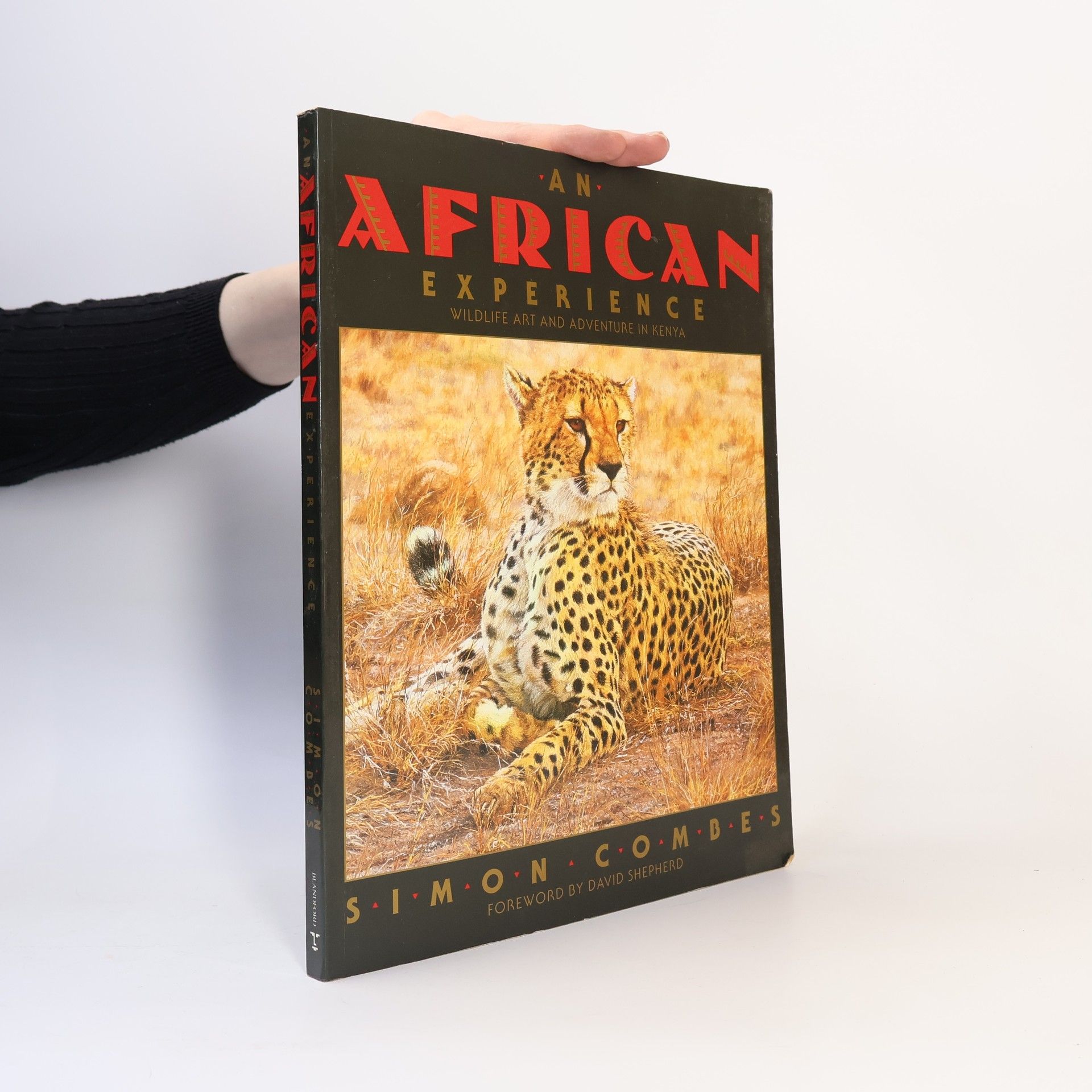 Simon Combes An African Experience