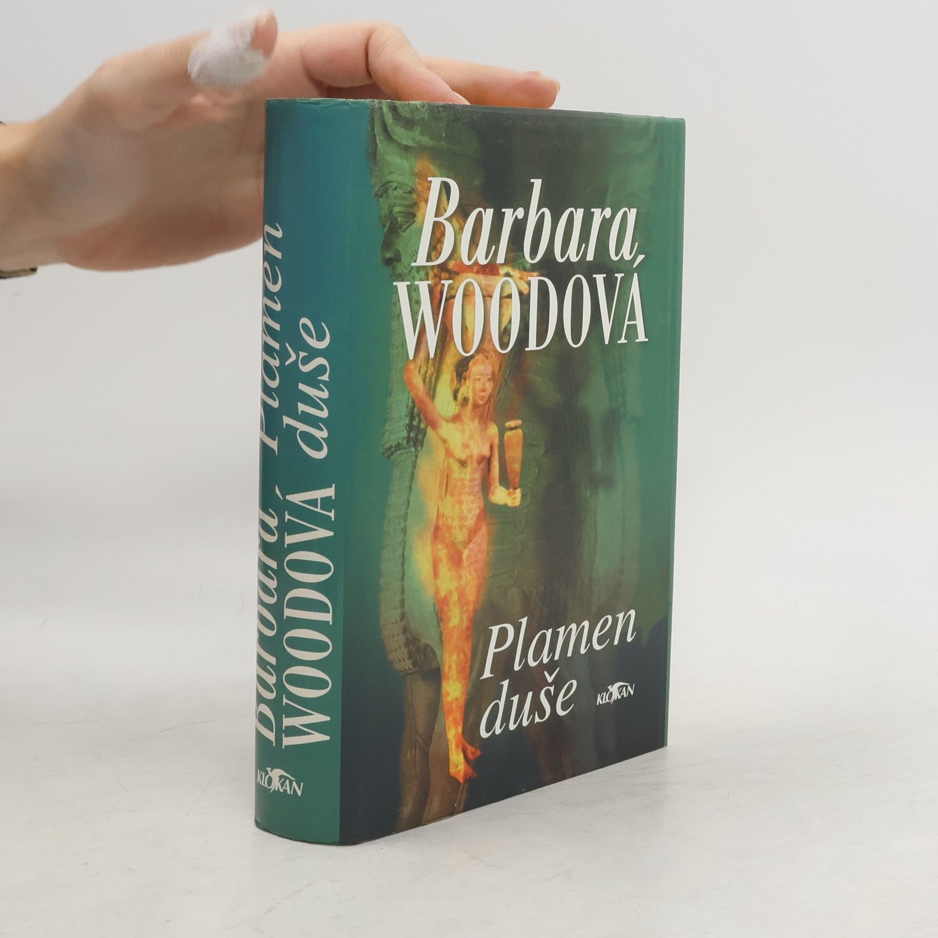 Barbara Wood Plamen duše