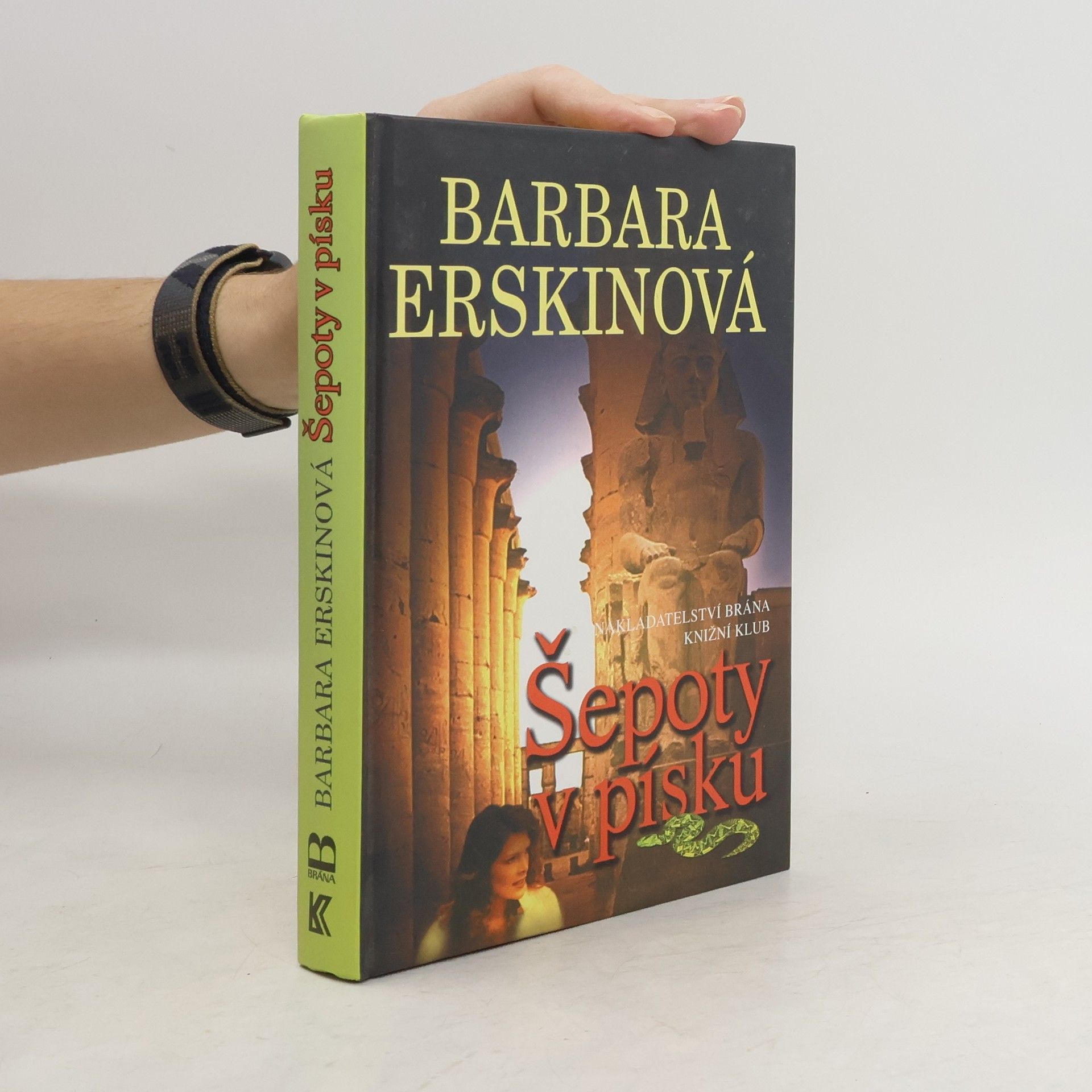 Barbara Erskinová Šepoty v písku