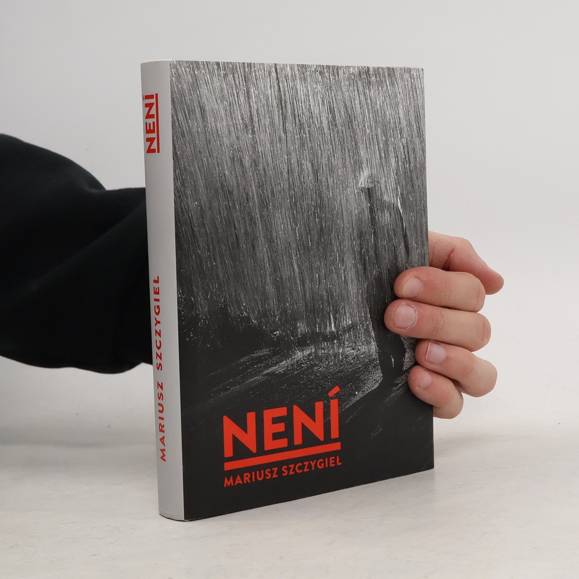 Mariusz Szczygieł Není