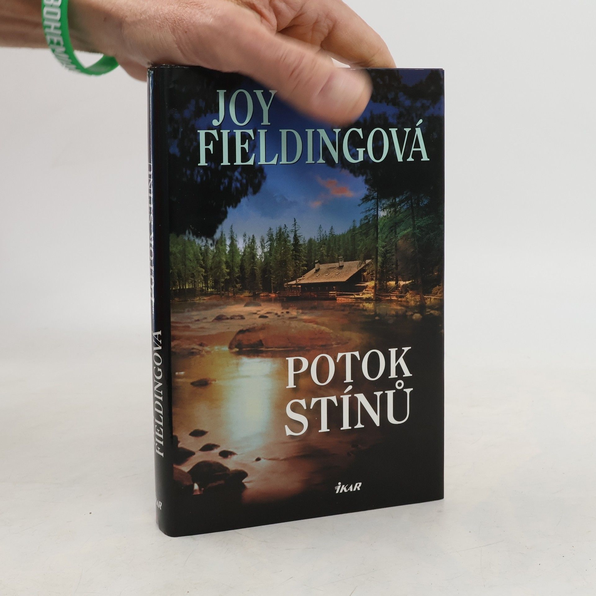 Joy Fielding Potok stínů