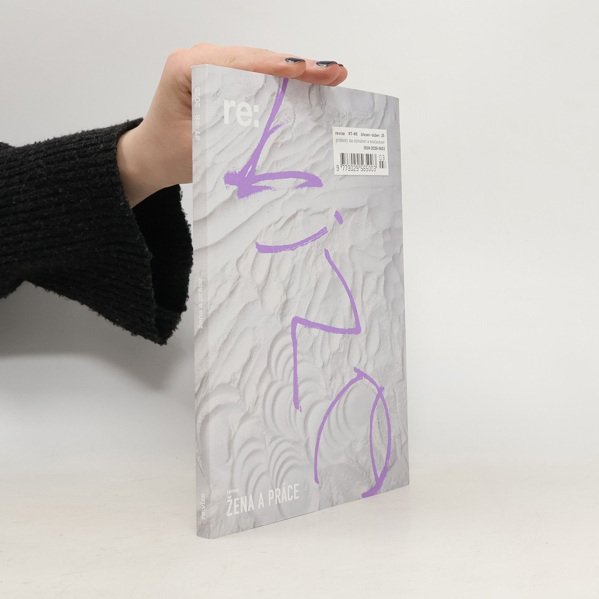 Kolektiv autorů Re:vize - žena a práce