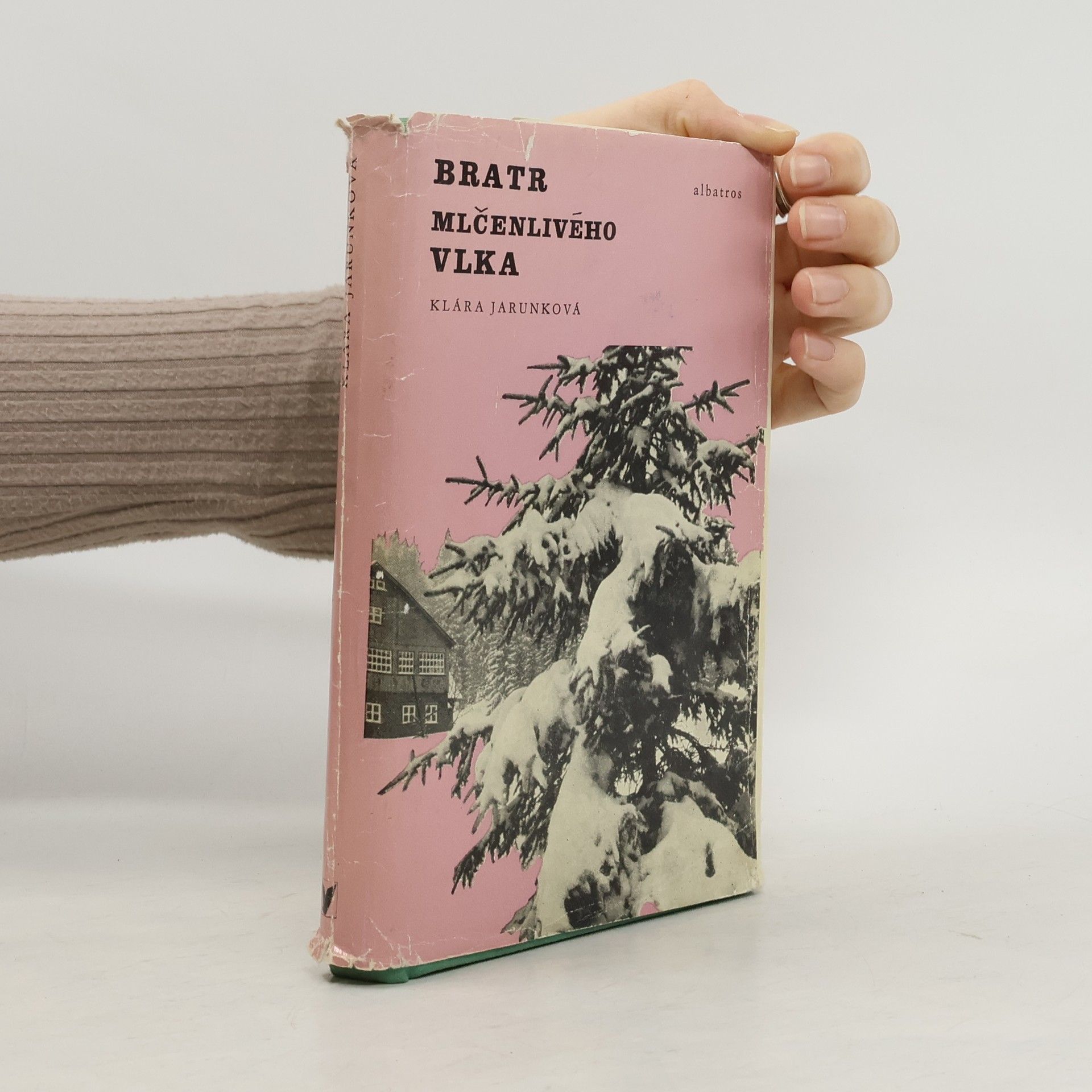 Klára Jarunková Bratr Mlčenlivého vlka