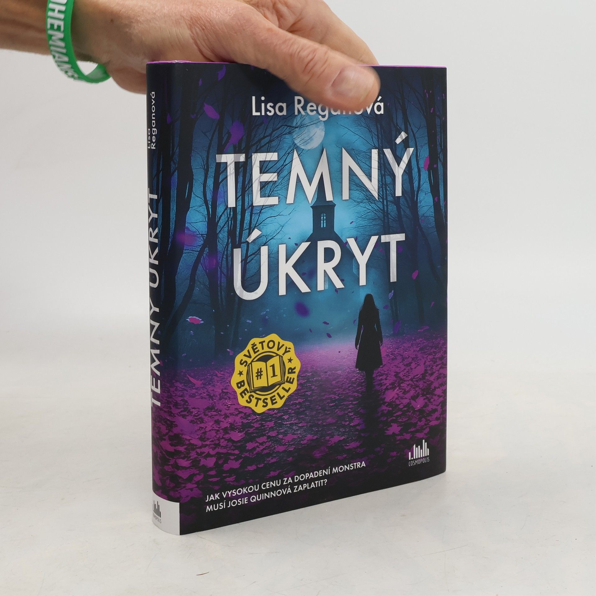 Lisa Regan Temný úkryt