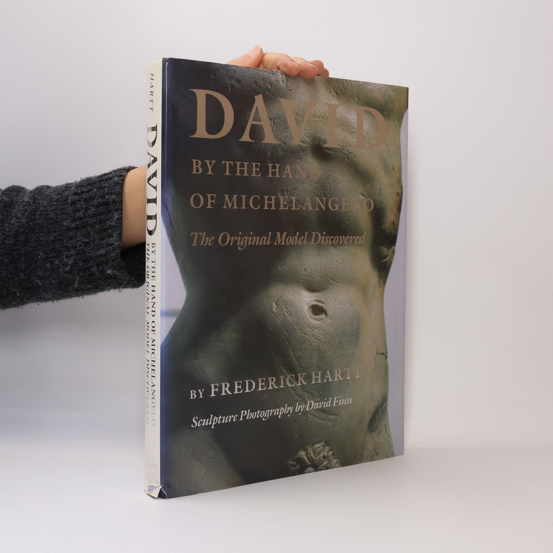 David, by the Hand of Michelangelo