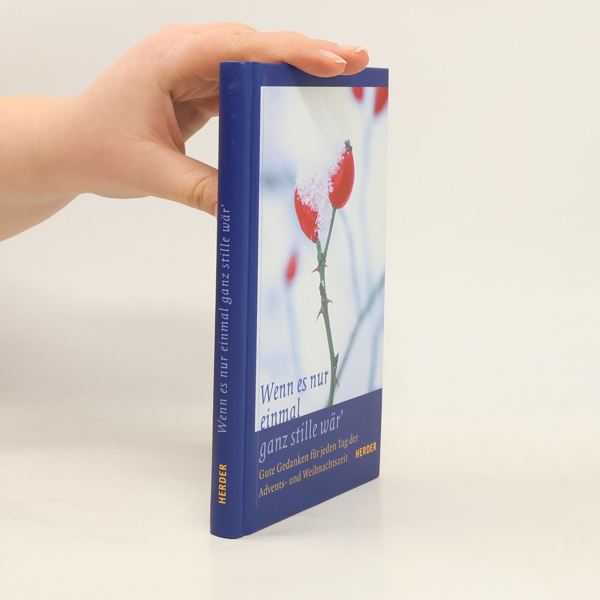 AA.VV. Wenn es nur einmal ganz stille wär'