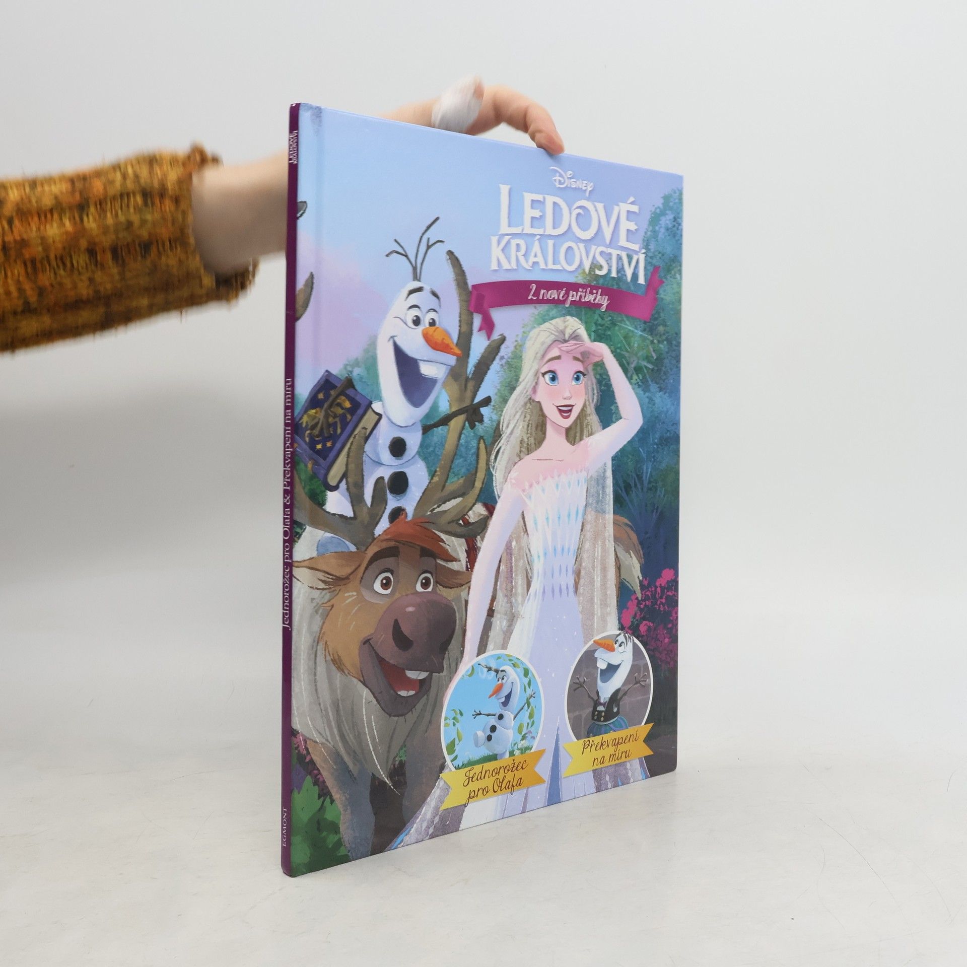 Petra Vichrová Ledové království. 2 nové příběhy