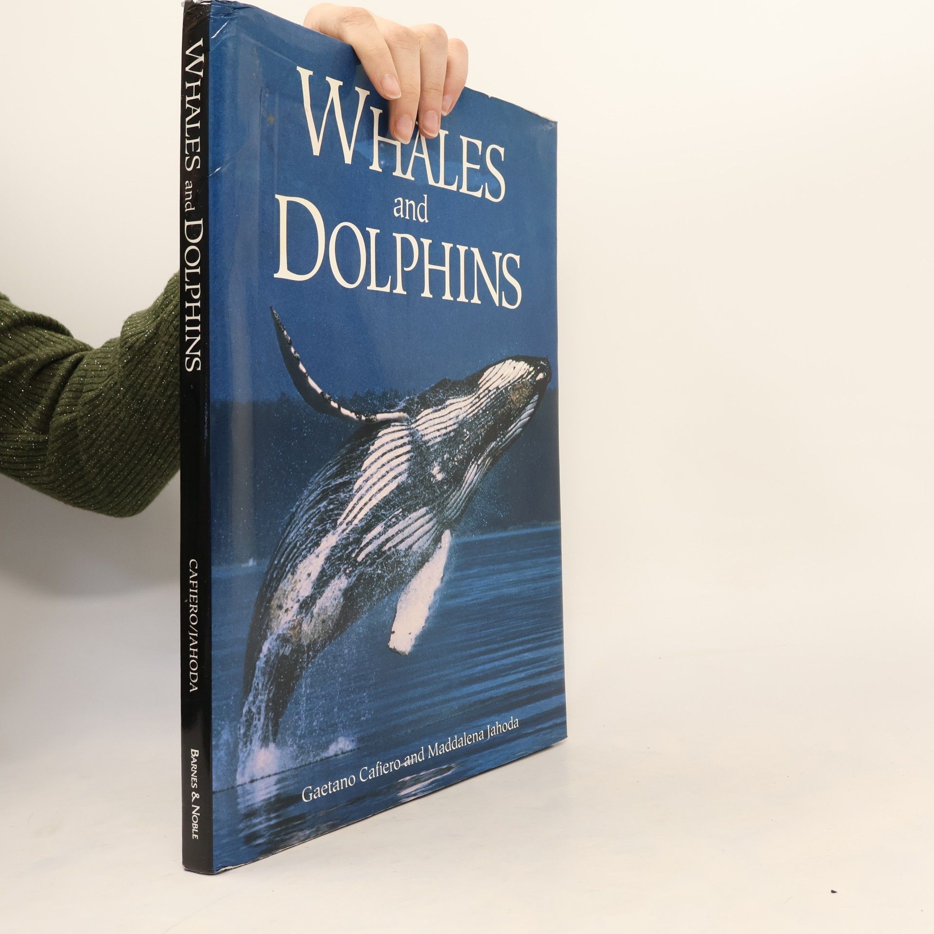 Gaetano Cafiero Whales and Dolphins