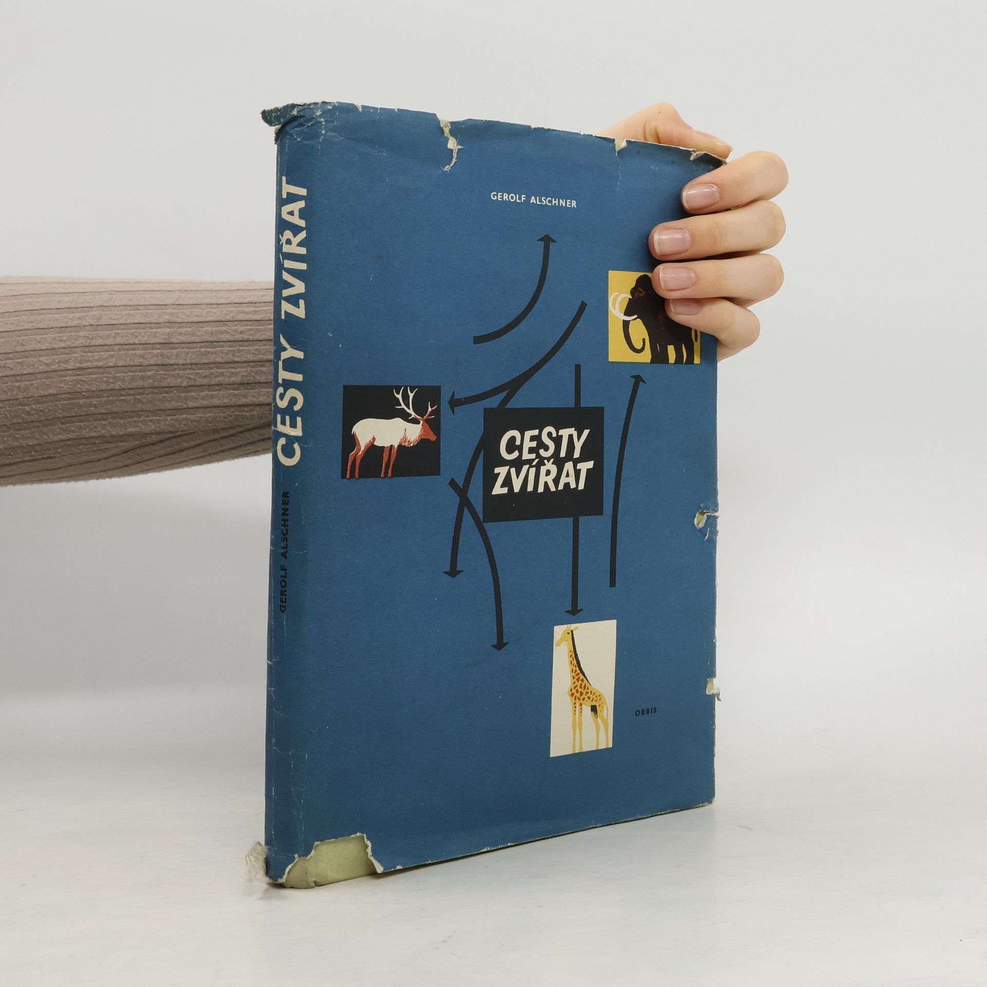 Gerolf Alschner Cesty zvířat