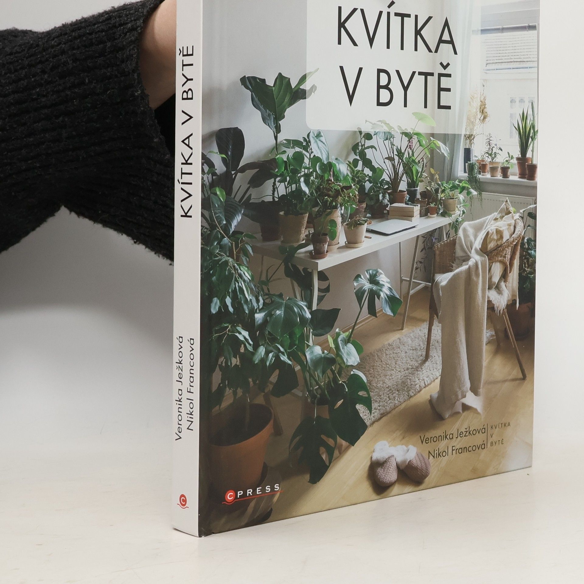 Veronika Ježková Kvítka v bytě