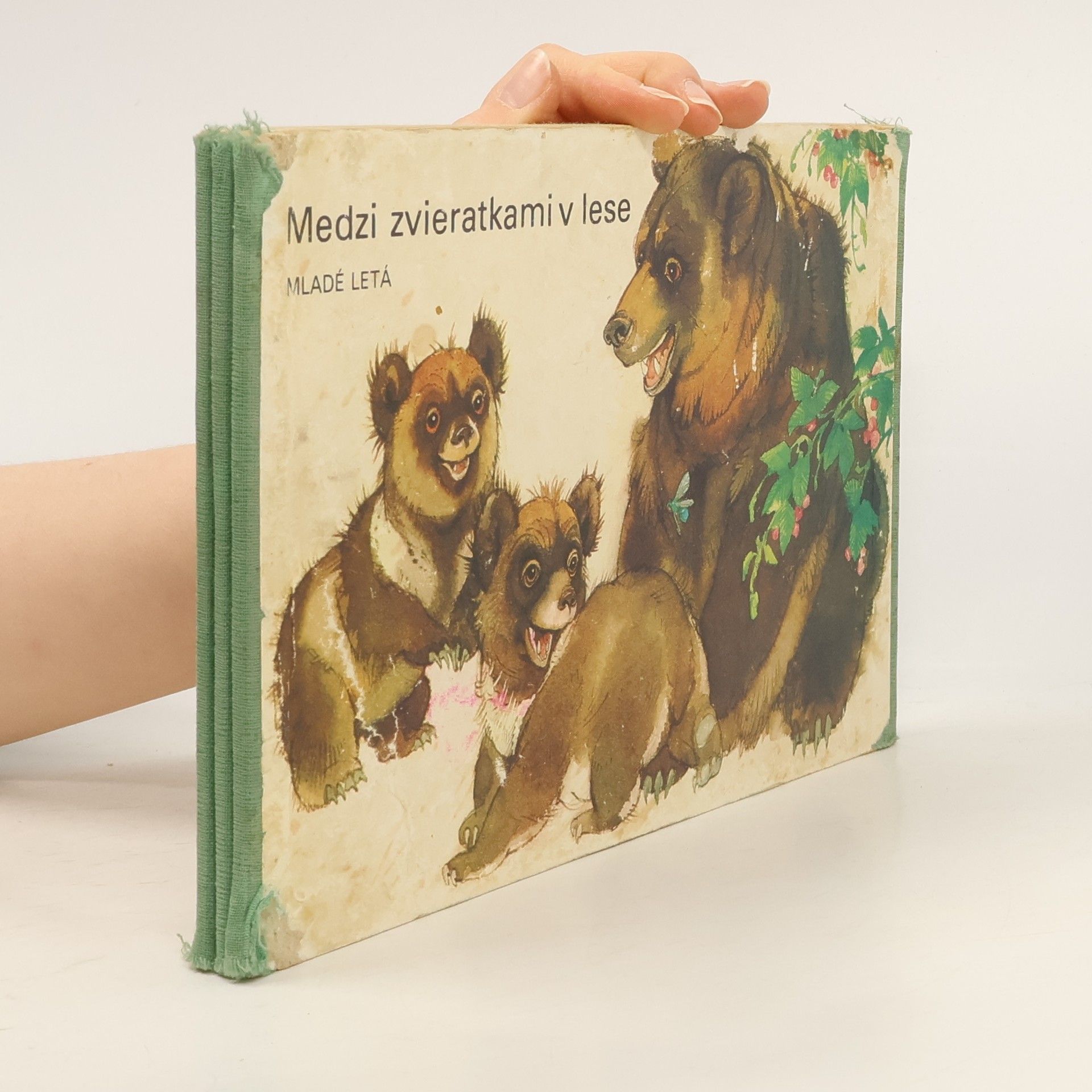 Kolektiv autorů Medzi zvieratkami v lese