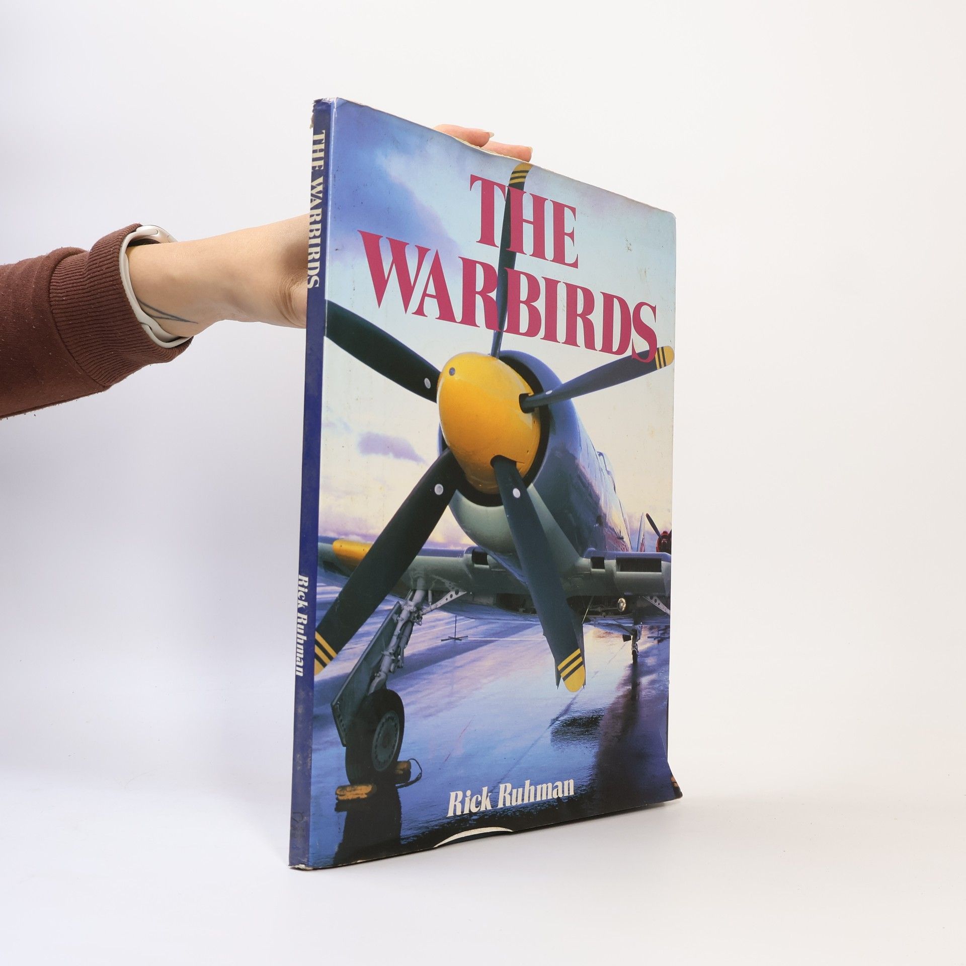 Rick Ruhman The Warbirds