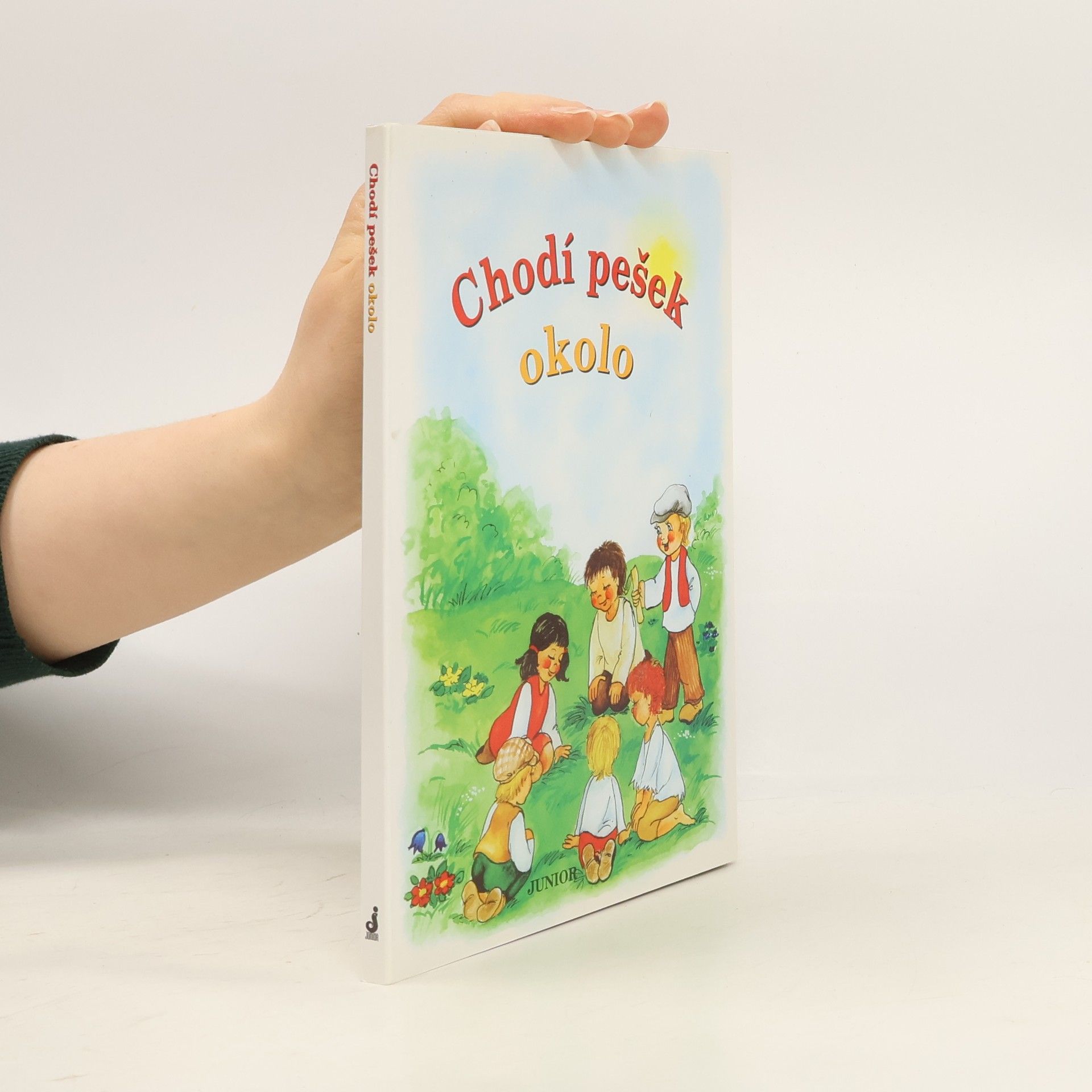 Vladimíra Vopičková Chodí pešek okolo (leporelo)