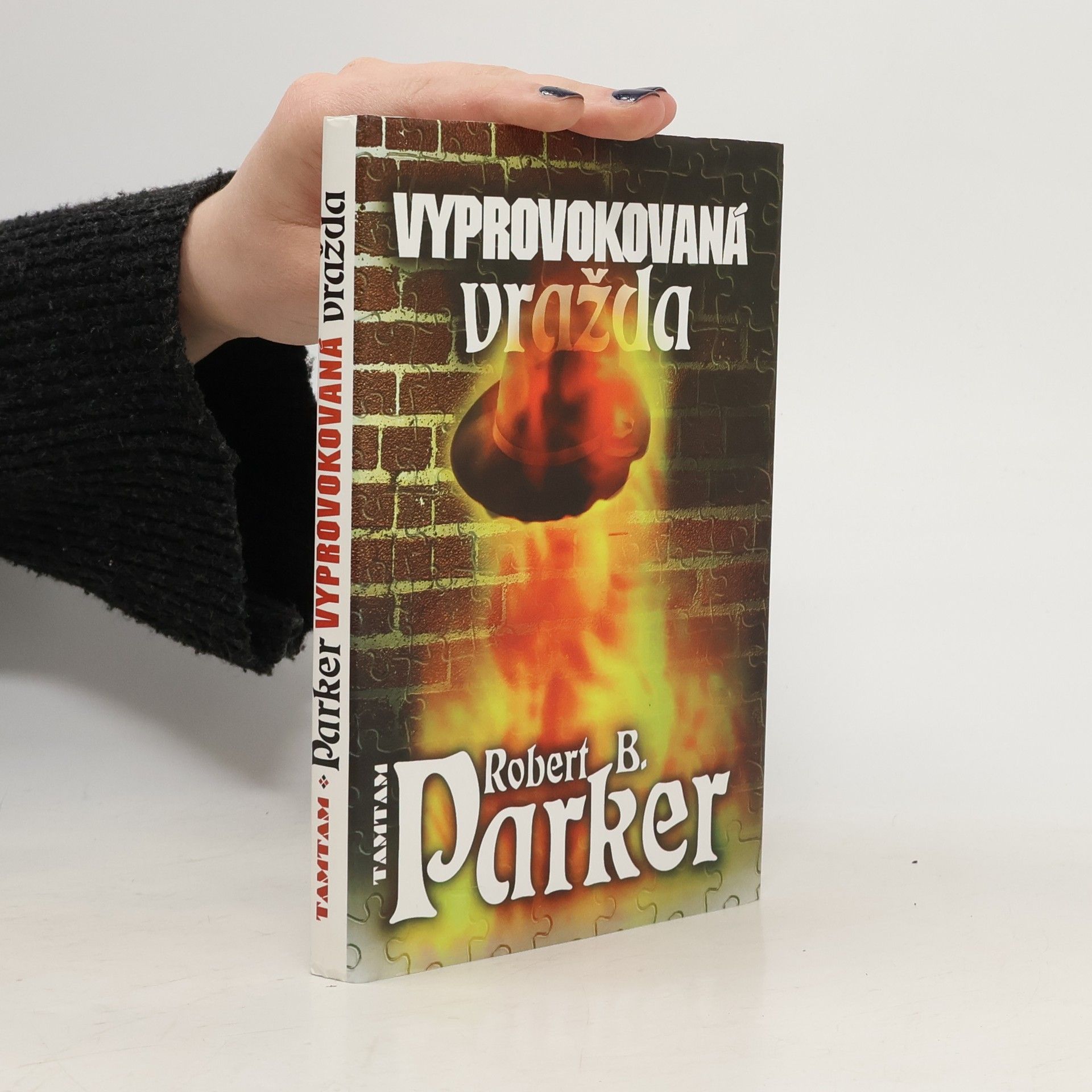 Robert B. Parker Vyprovokovaná vražda