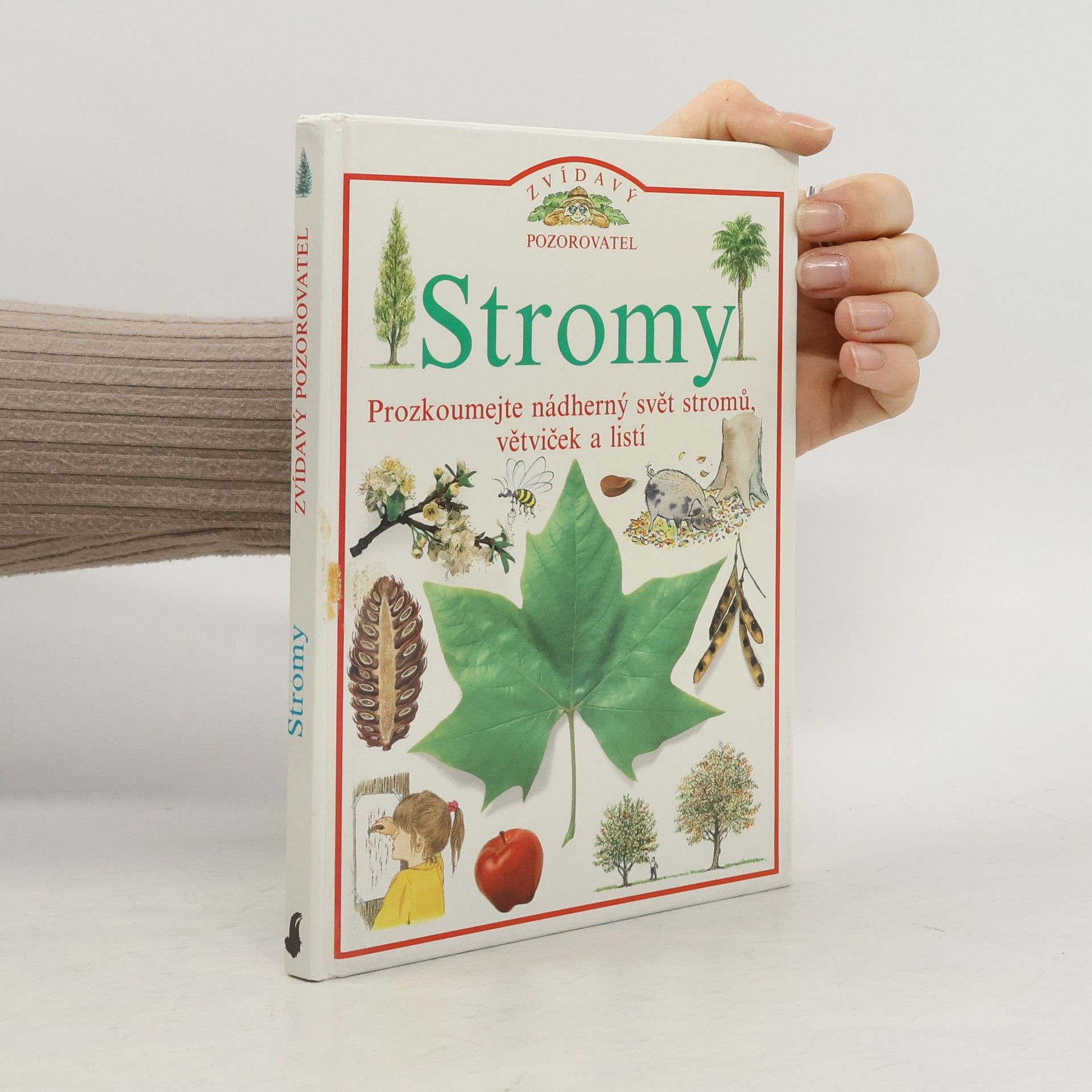 Stromy
