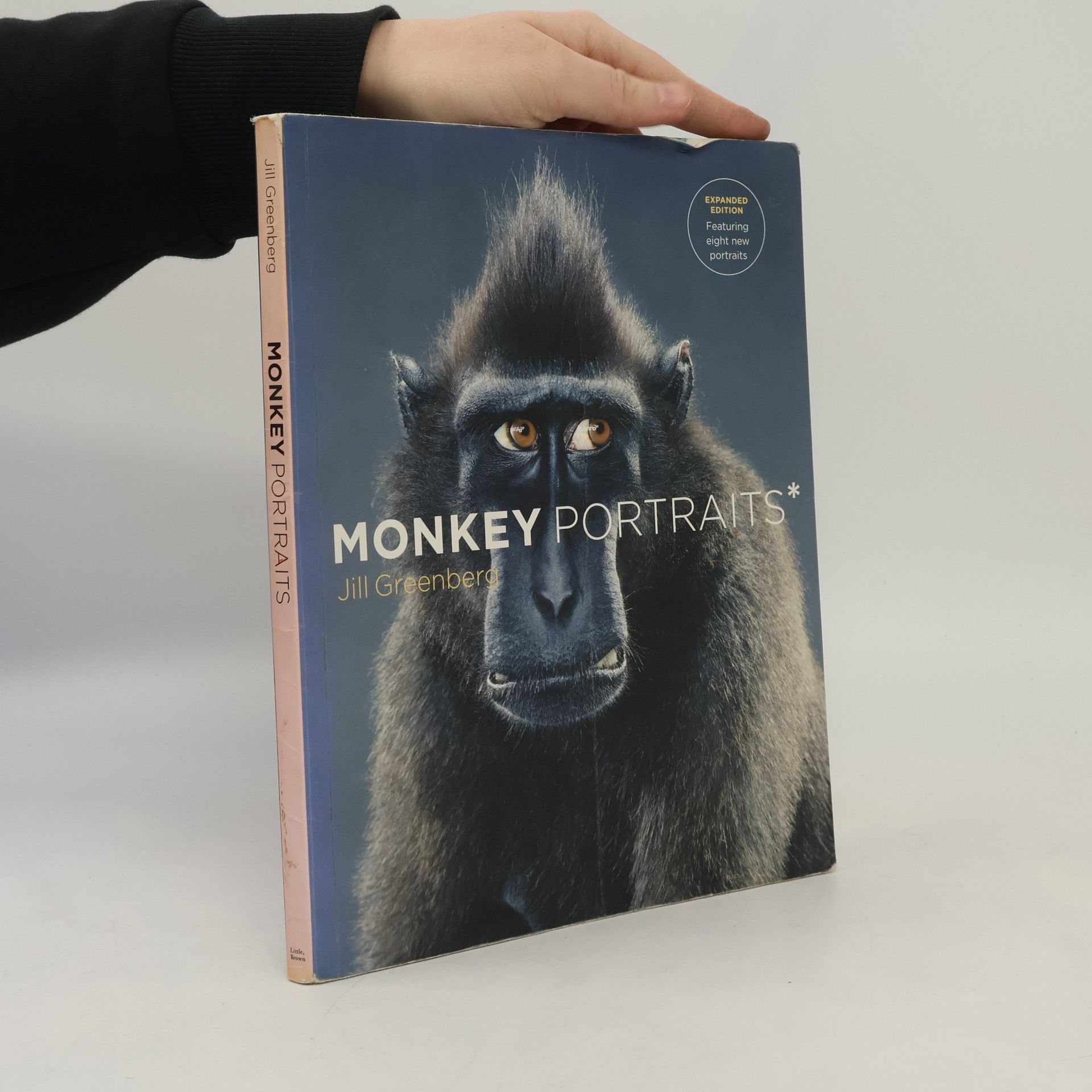 Paul Myoda Monkey Portraits