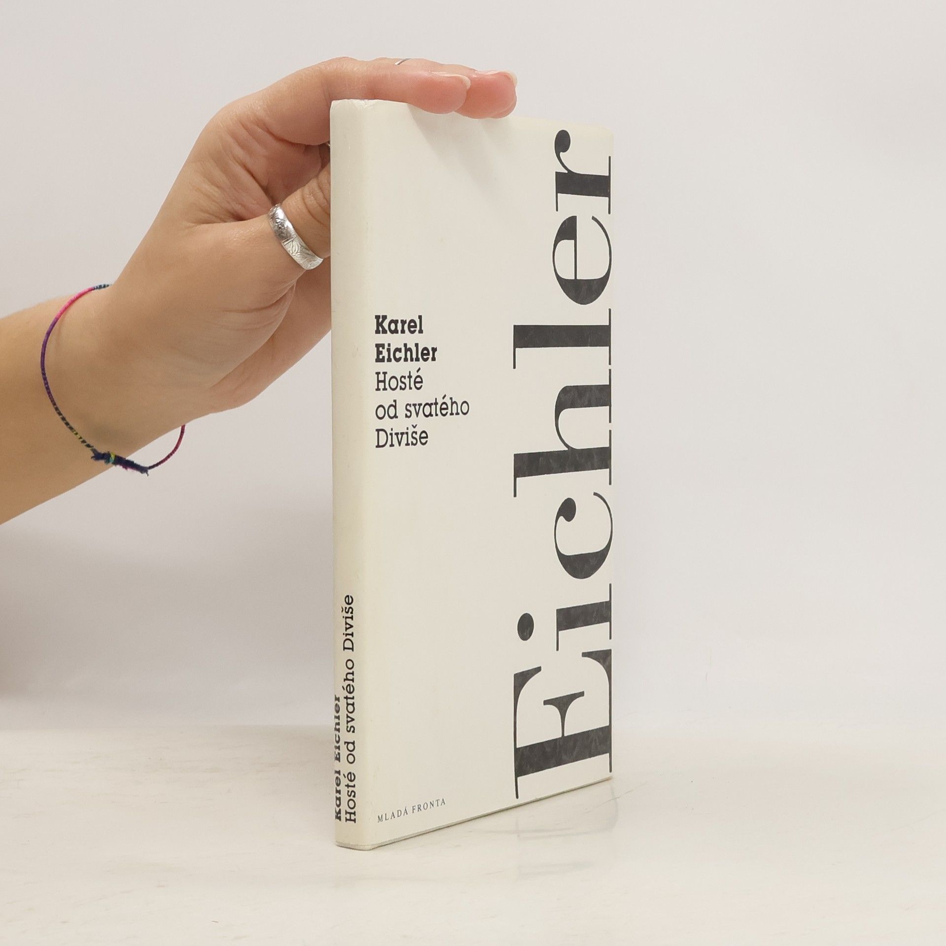 Karel Eichler Hosté od svatého Diviše