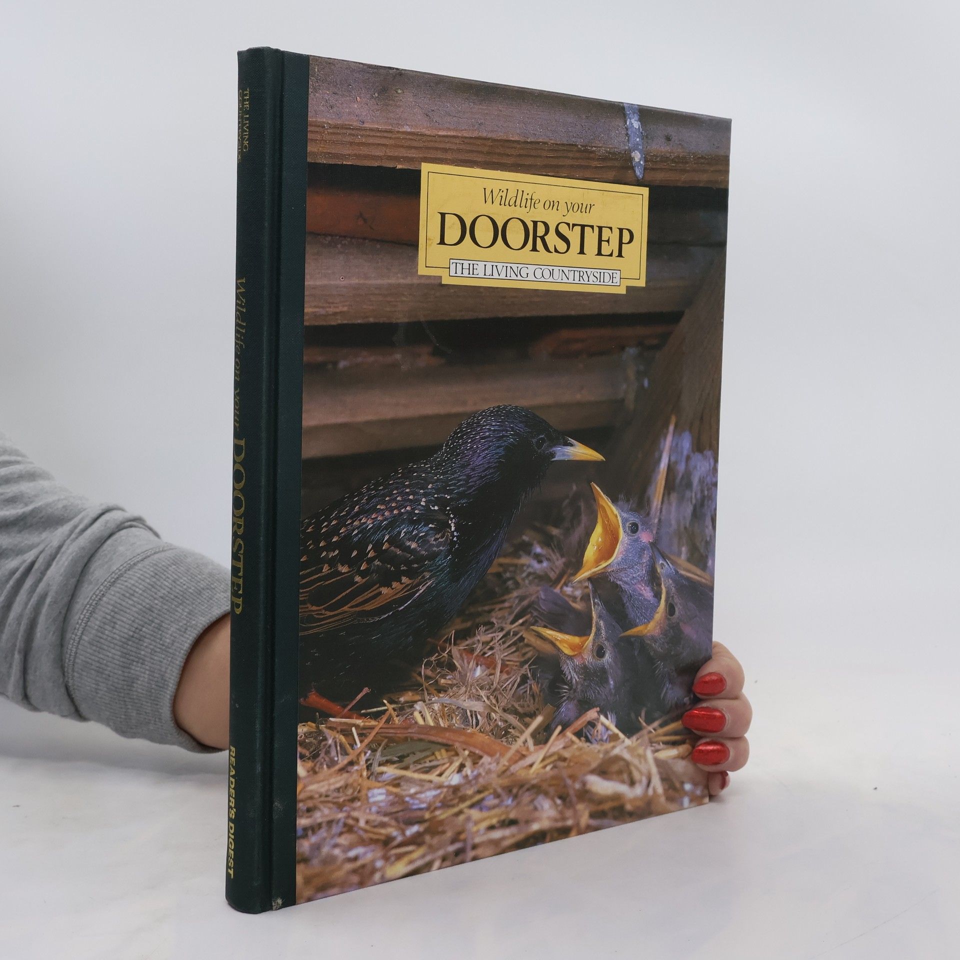 Wildlife on Your Doorstep