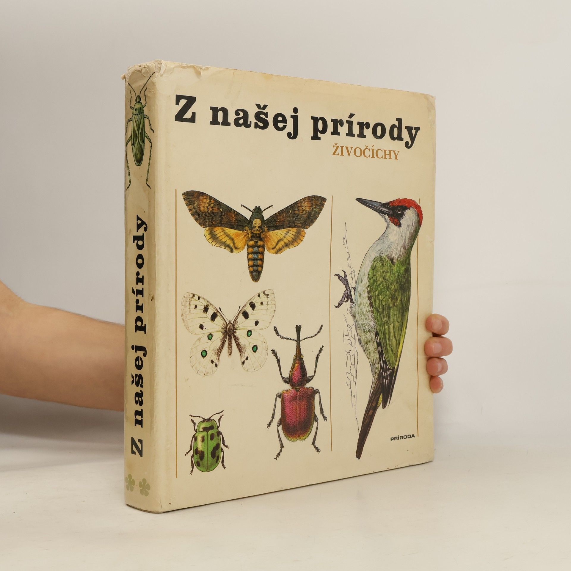 Jindřich Krejča Z našej prírody. Živočíchy