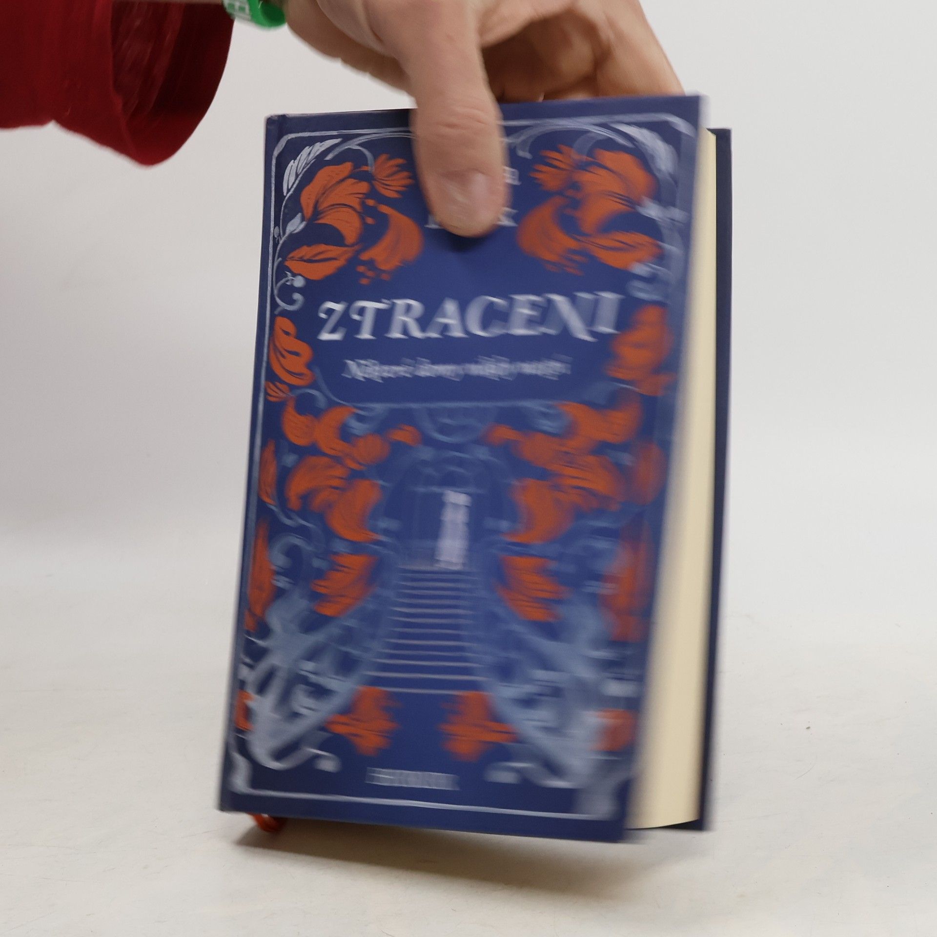 Anita Frank Ztraceni