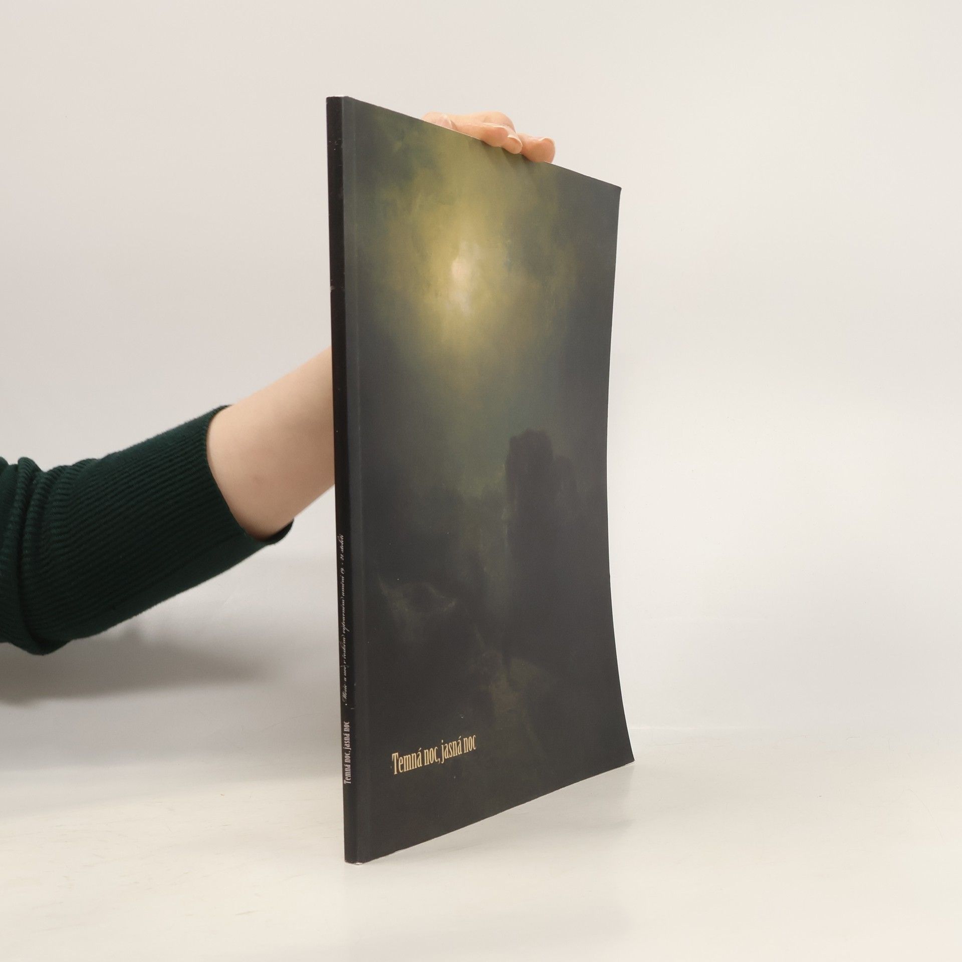 Hynek Rulíšek Temná noc, jasná noc : měsíc a noc v českém výtvarném umění 19.-21. století